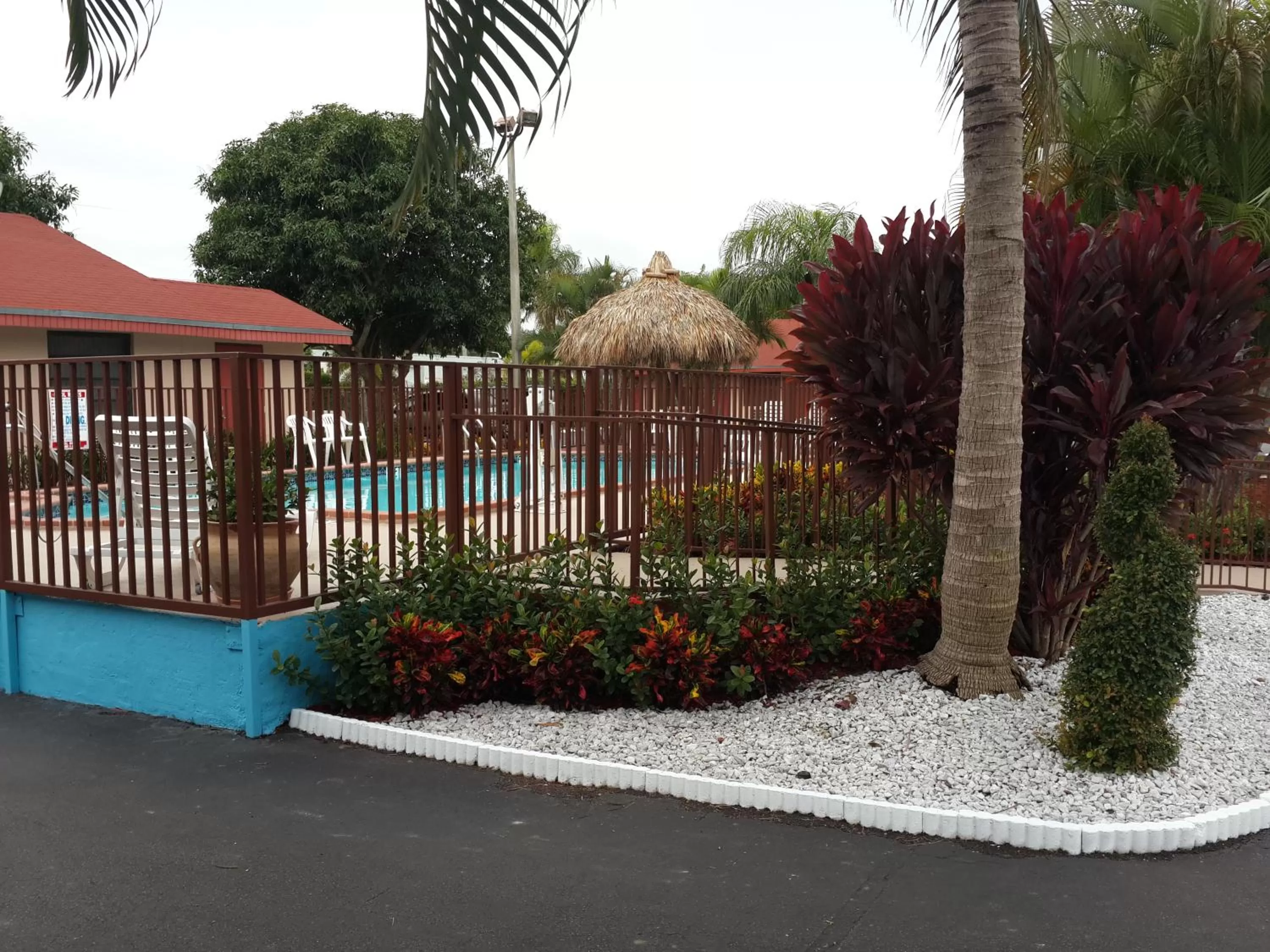 Swimming pool in Super 8 by Wyndham Florida City/Homestead/Everglades