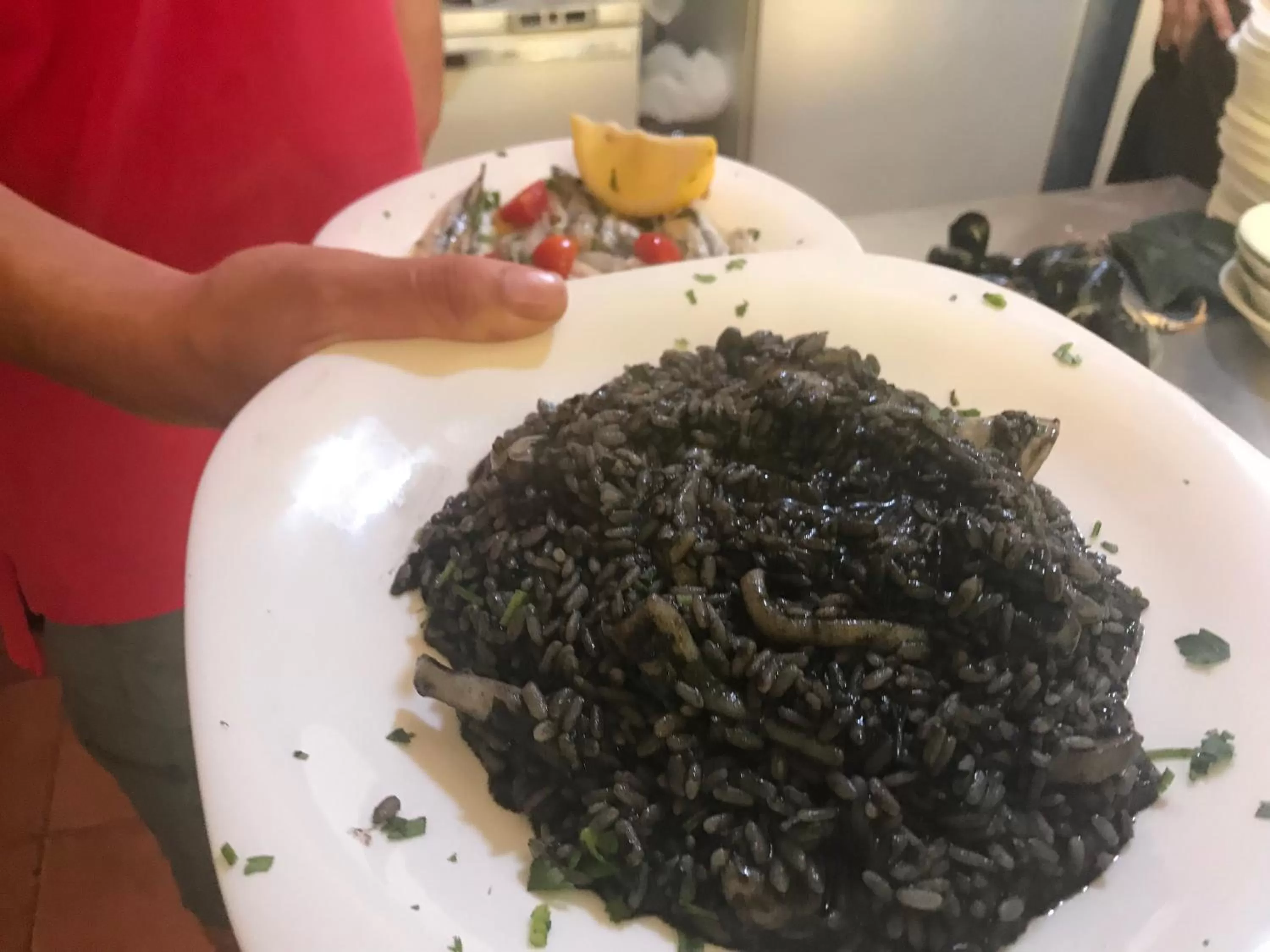 Food and drinks in Hotel Alba-Gert