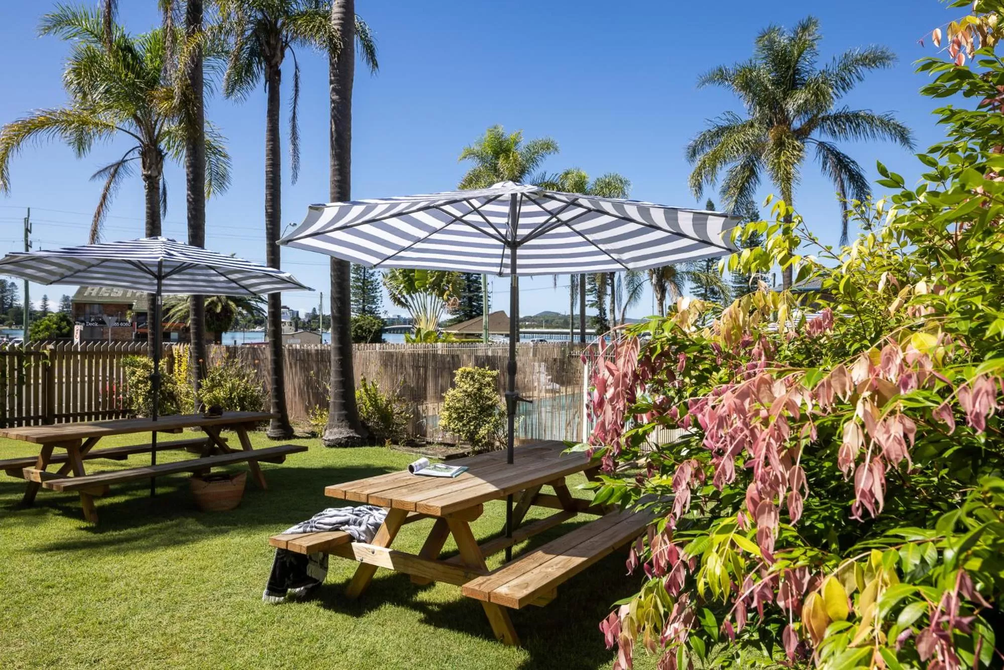 Superior Double or Twin Room in South Pacific Palms Motor Inn