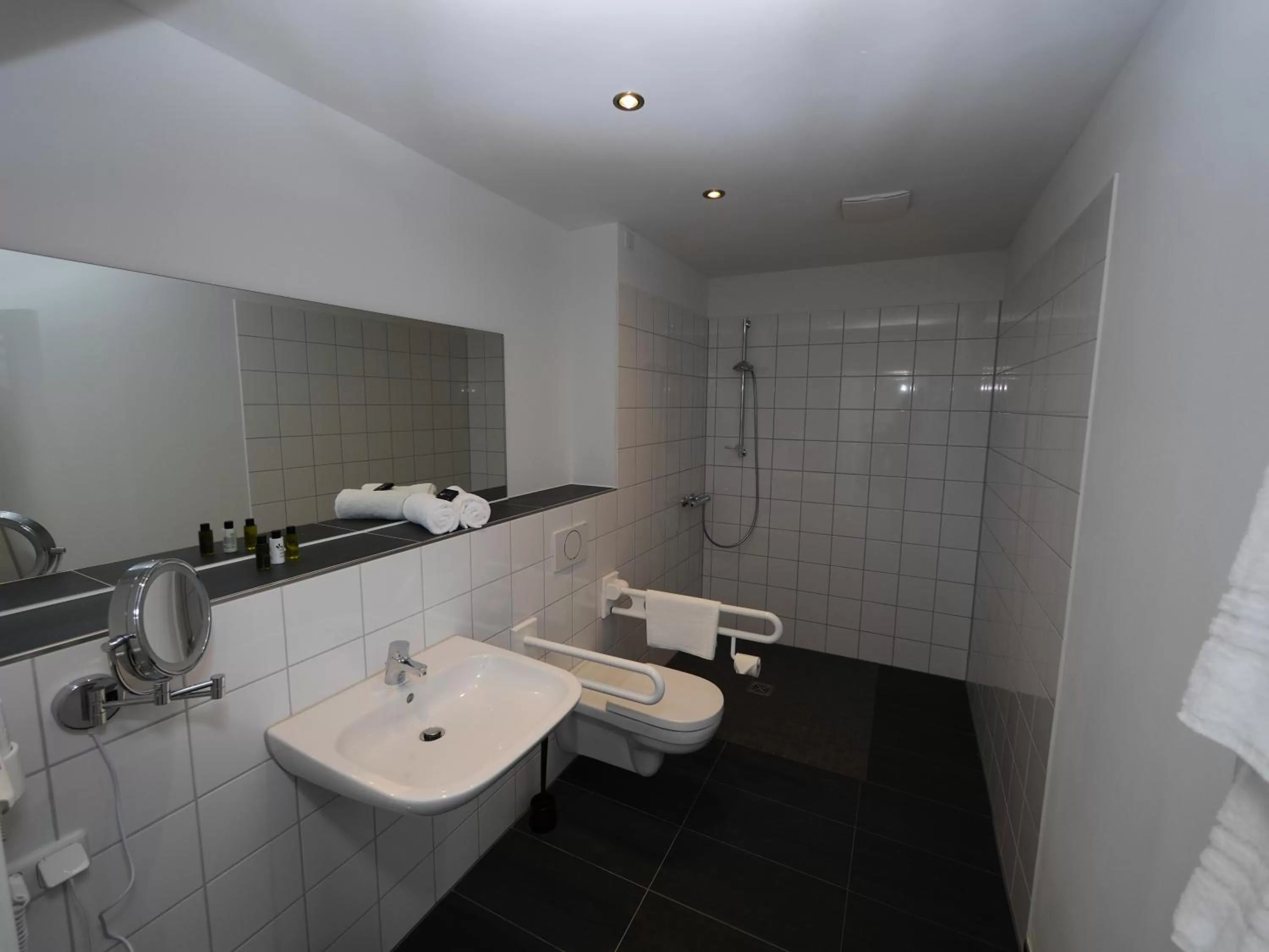 Shower in Ruhr Inn Hotel