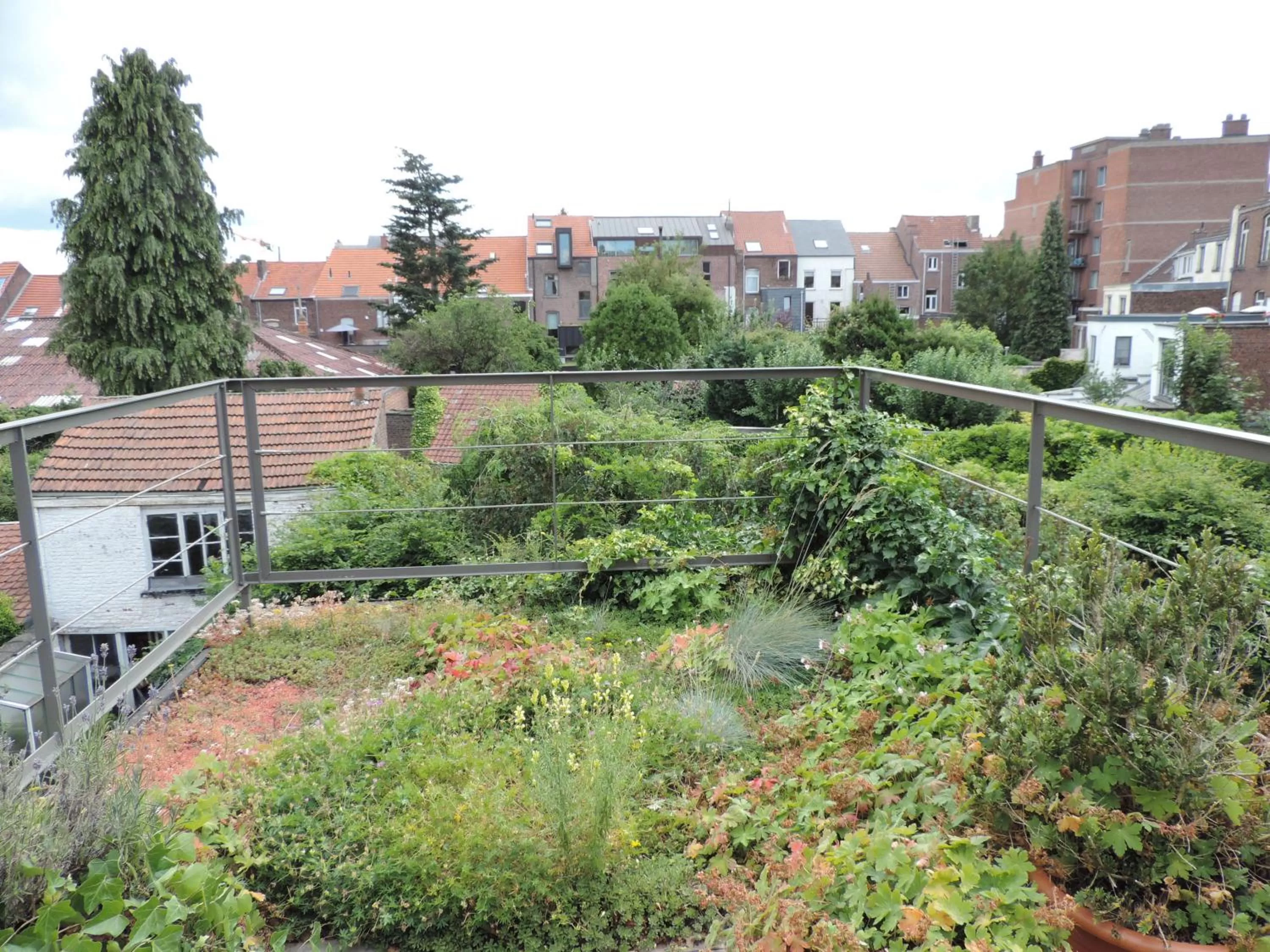 Balcony/Terrace in B&B Lodging At 8