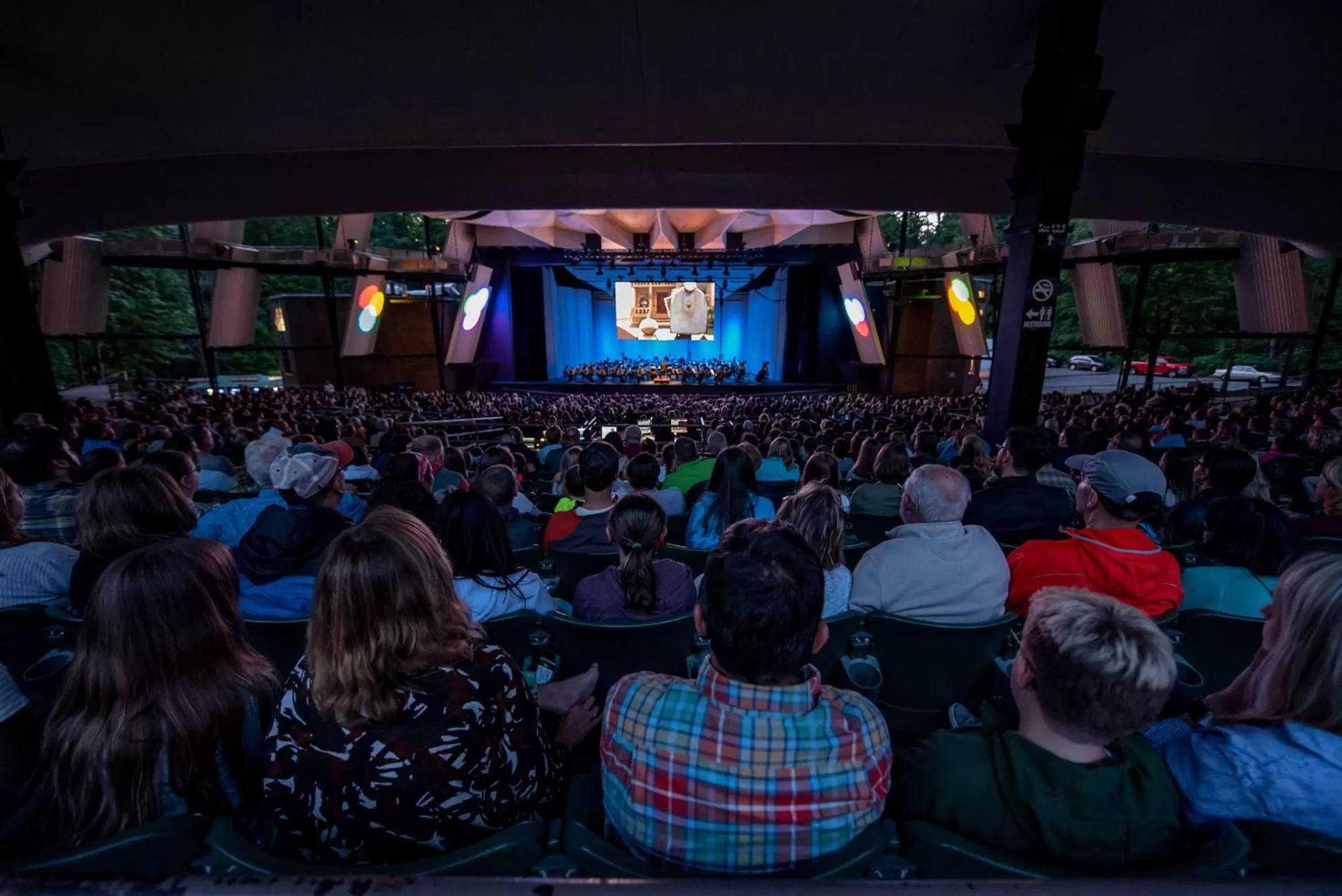 Night in Bluebird Spa City Motor Lodge