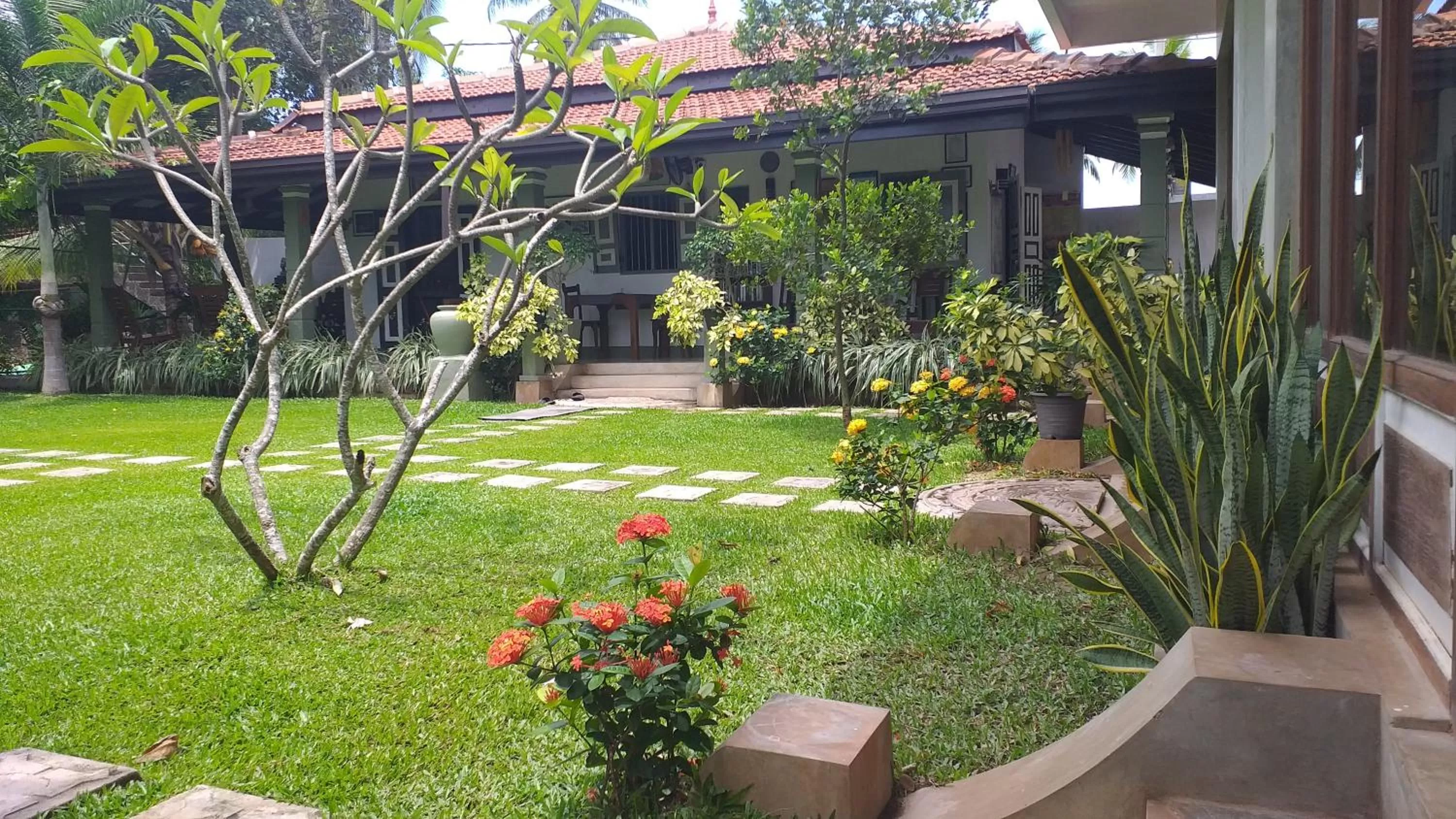 Garden in Green Wood Villa Negombo