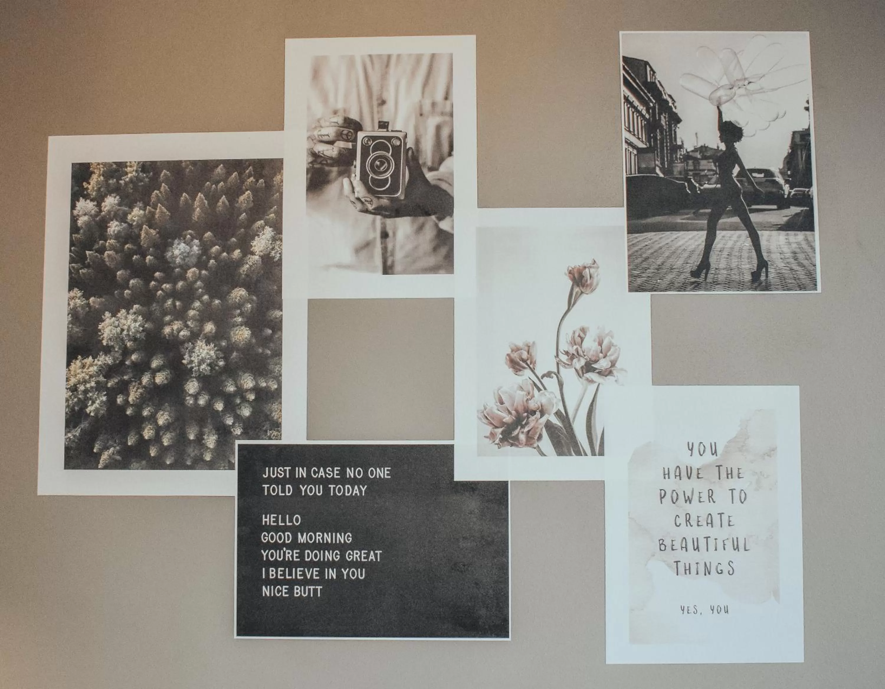 Apartment - single occupancy in Botanika Uppsala