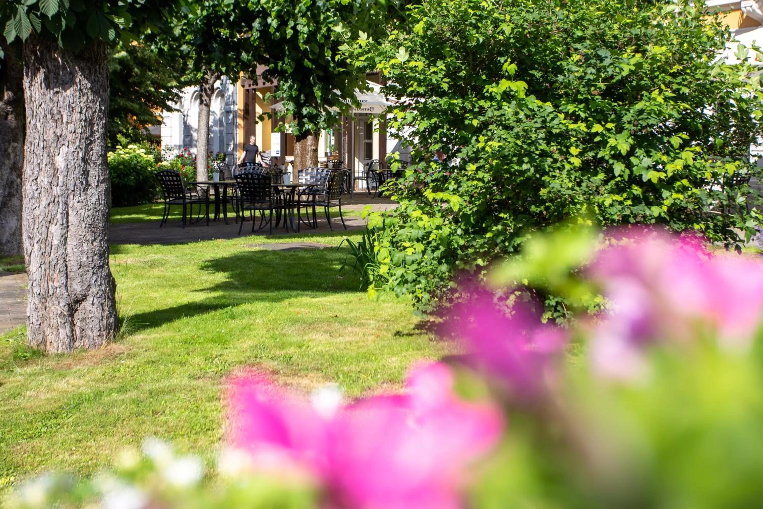 Garden in Hotel Lindenhof Bad Schandau