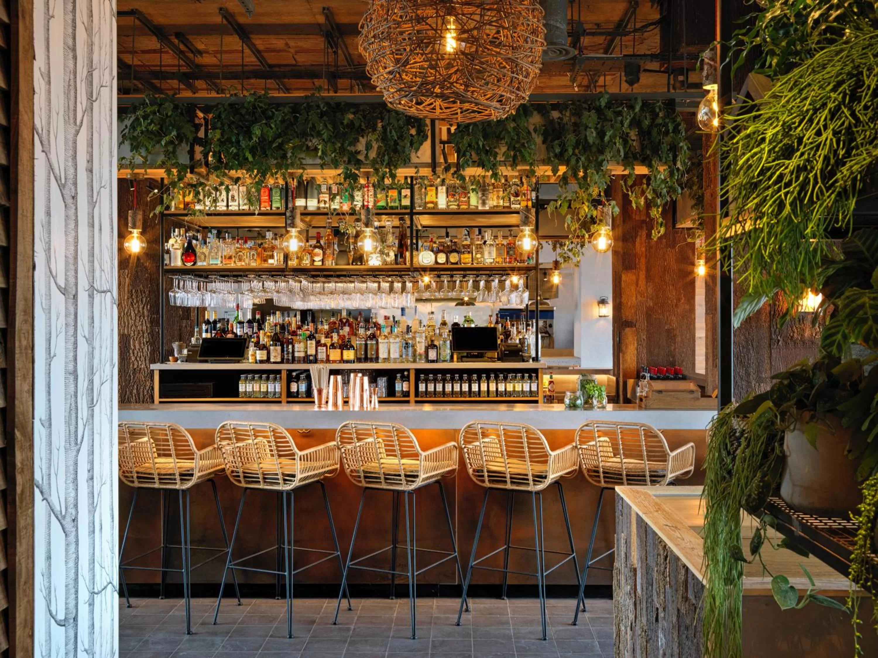 Restaurant/places to eat in Treehouse Hotel London