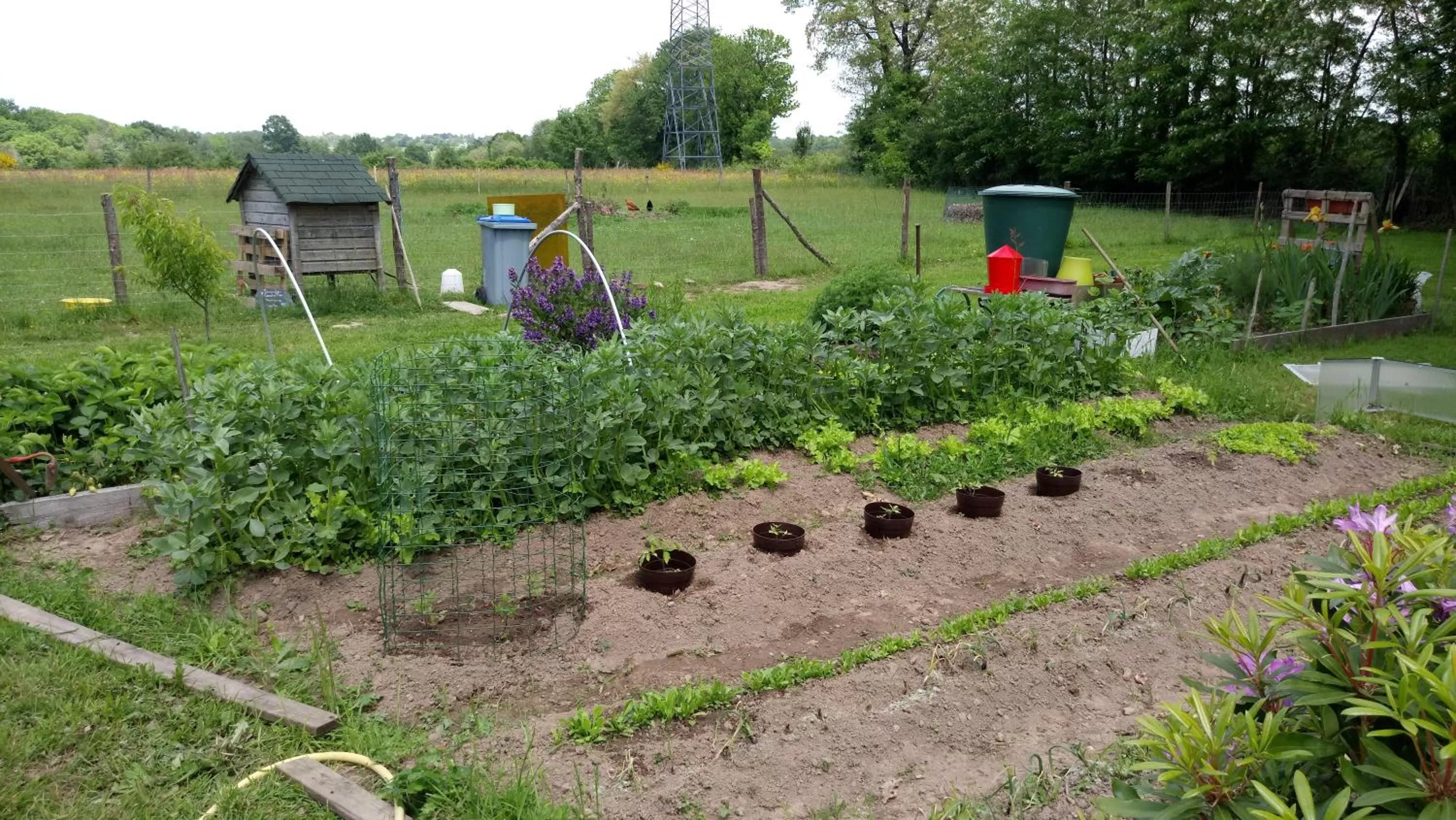 Garden view, Garden in Le moulin de La Retardière
