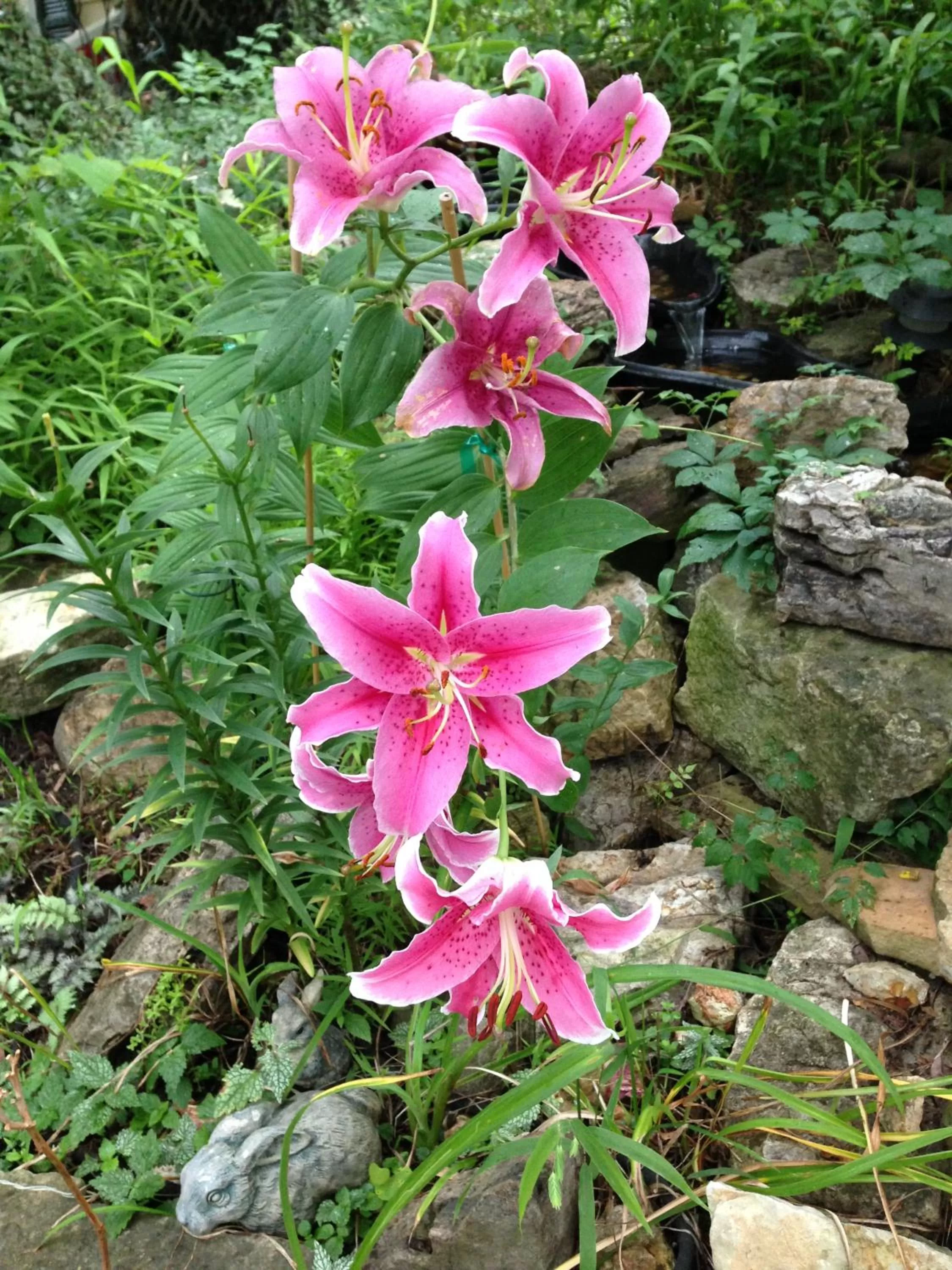 Property building in Sherwood Court Cottages
