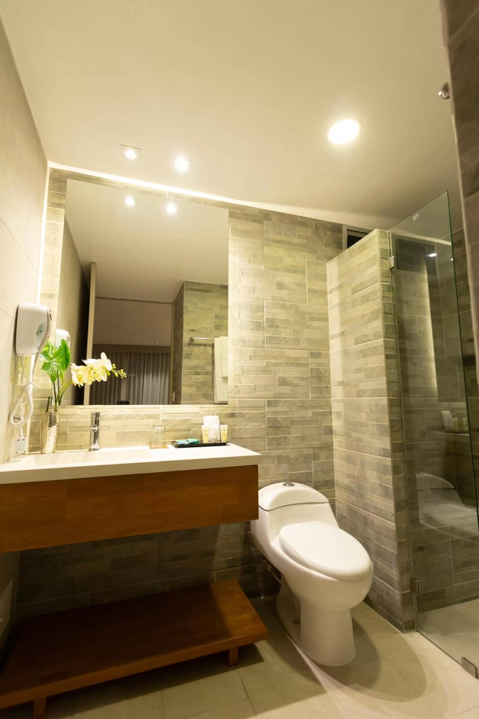 Shower in Hotel Soratama