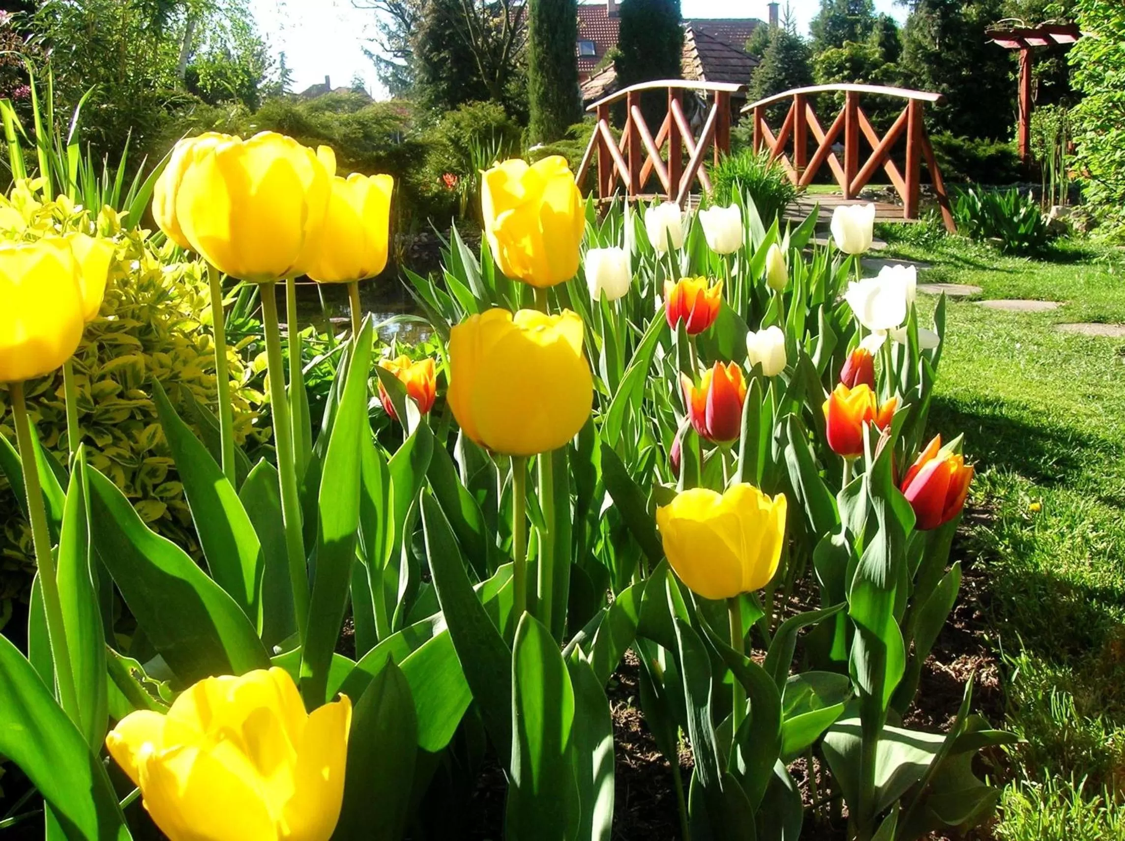 Garden in Green Park Villa