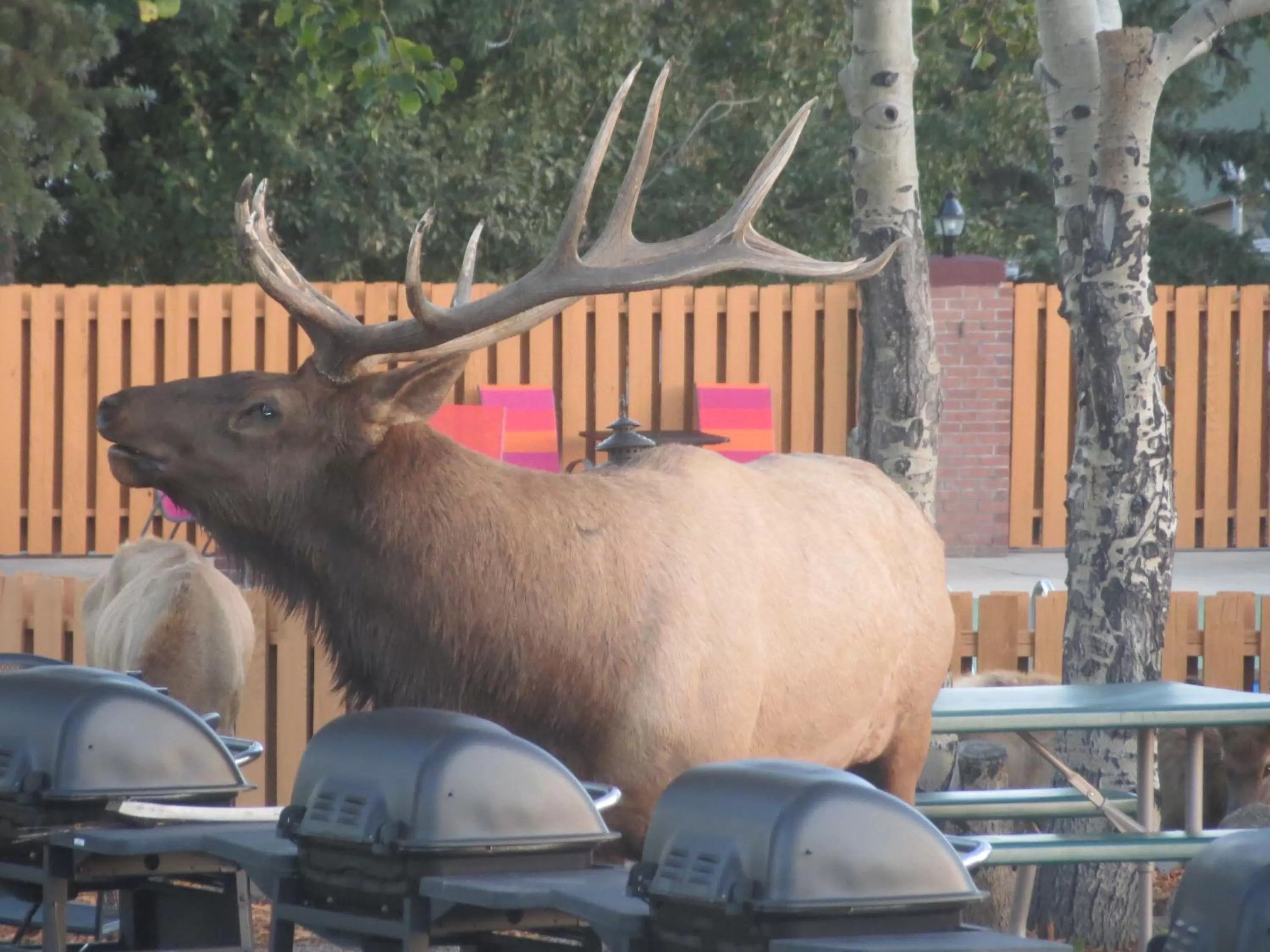 Other in Murphy's Resort