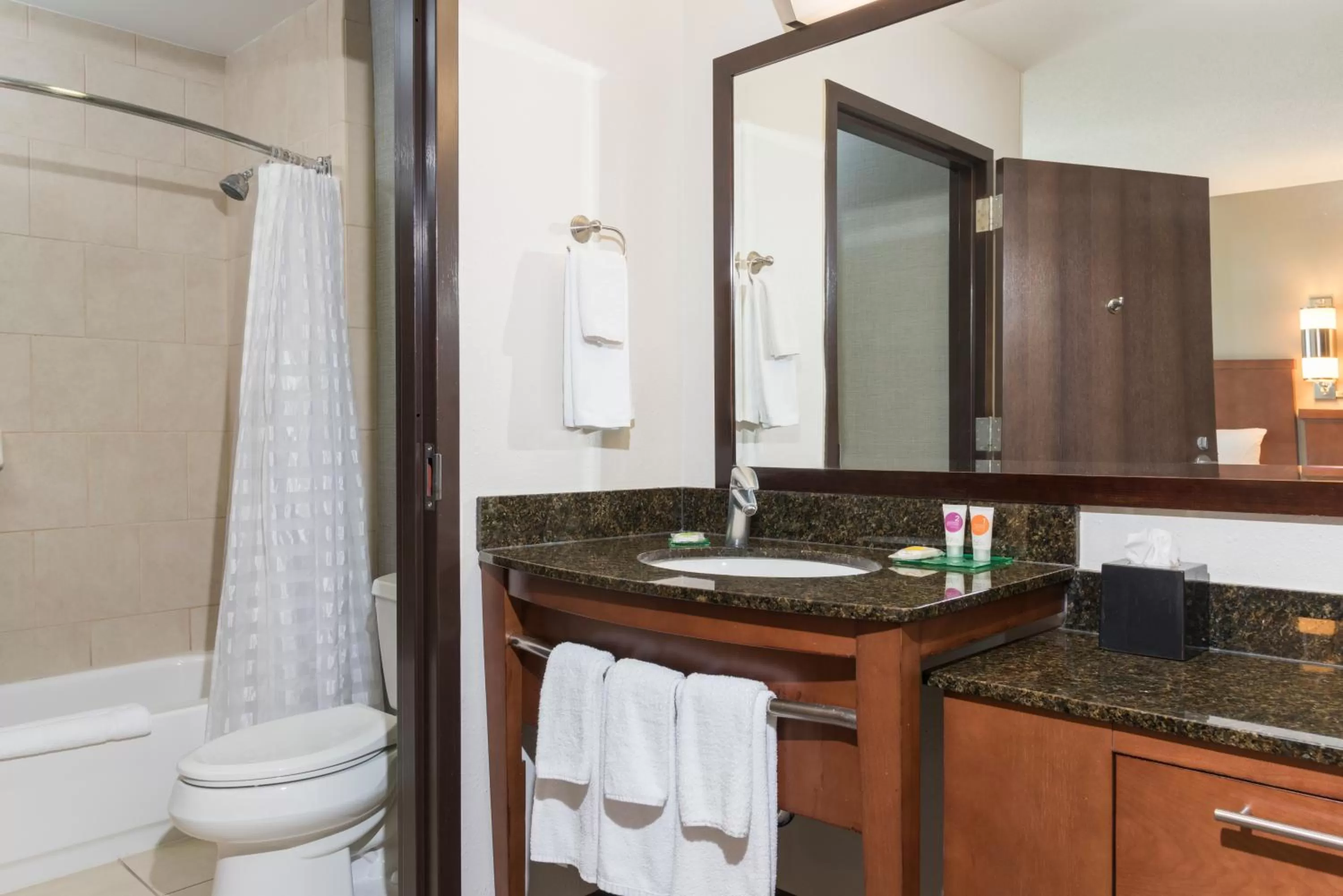 King Room with Sofa Bed and Accessible Tub - Disability Access in Hyatt Place Lexington