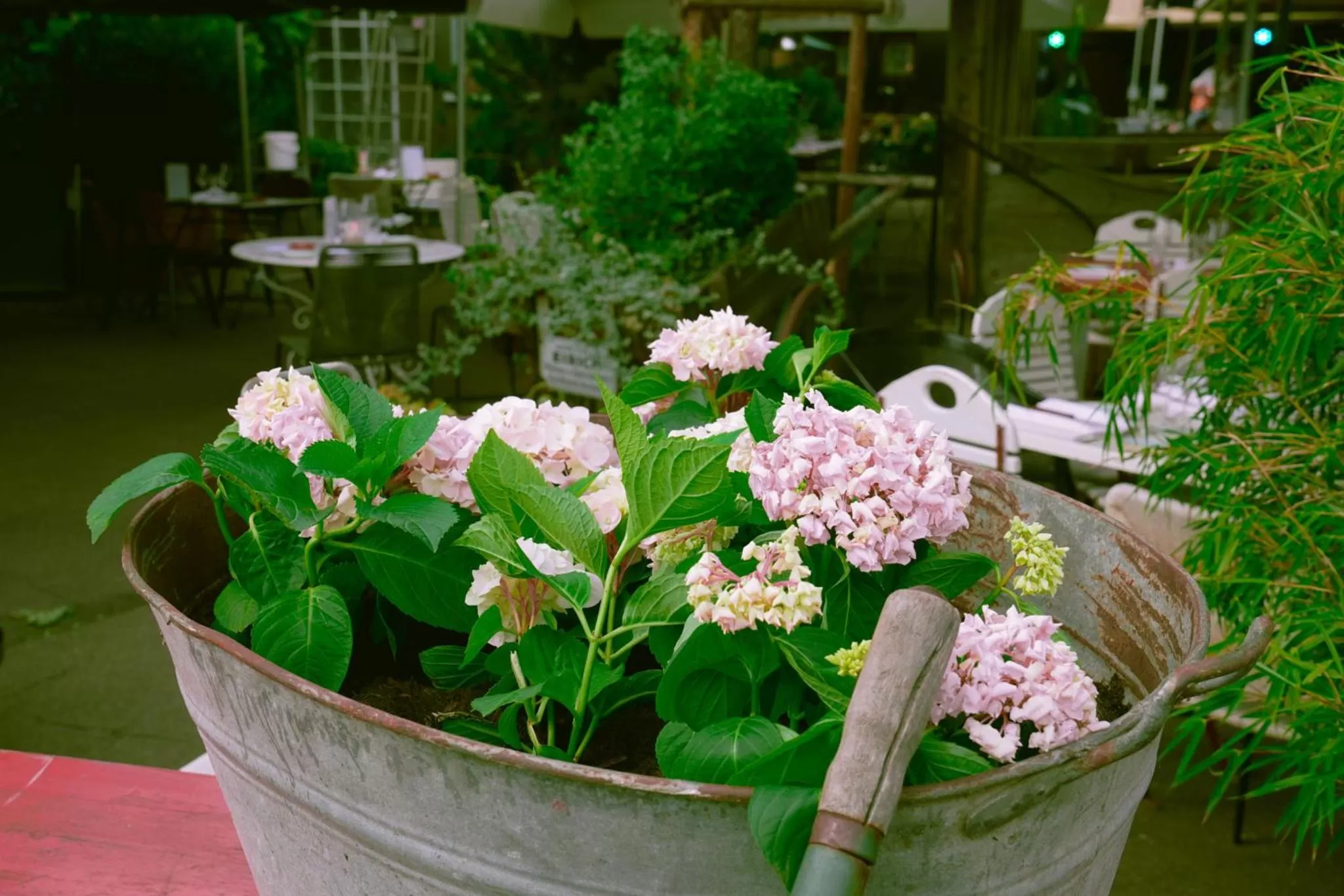 Restaurant/places to eat in Hafen 17 Hotel Küche Bar