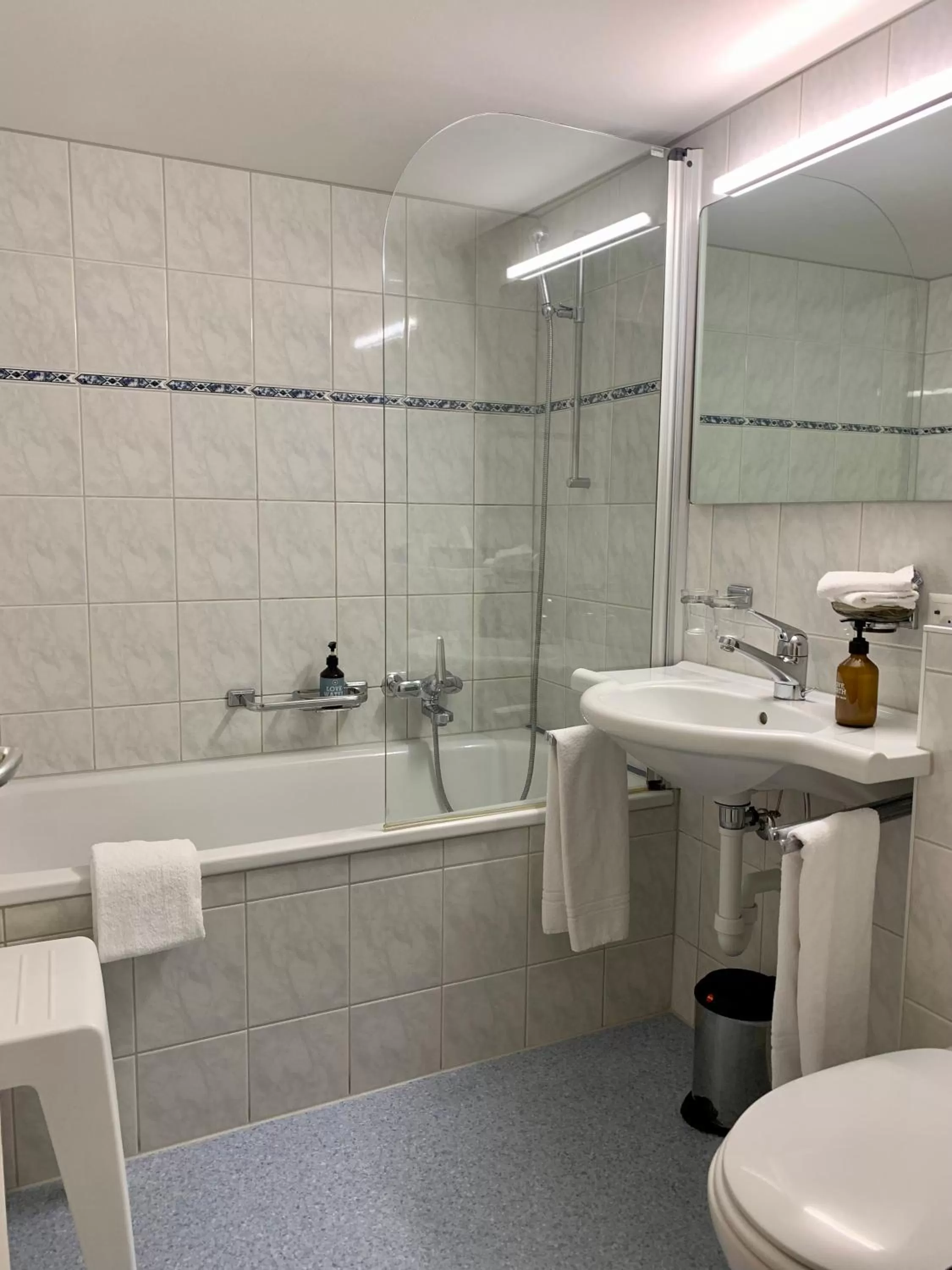 Shower, Bathroom in Hotel Friedheim