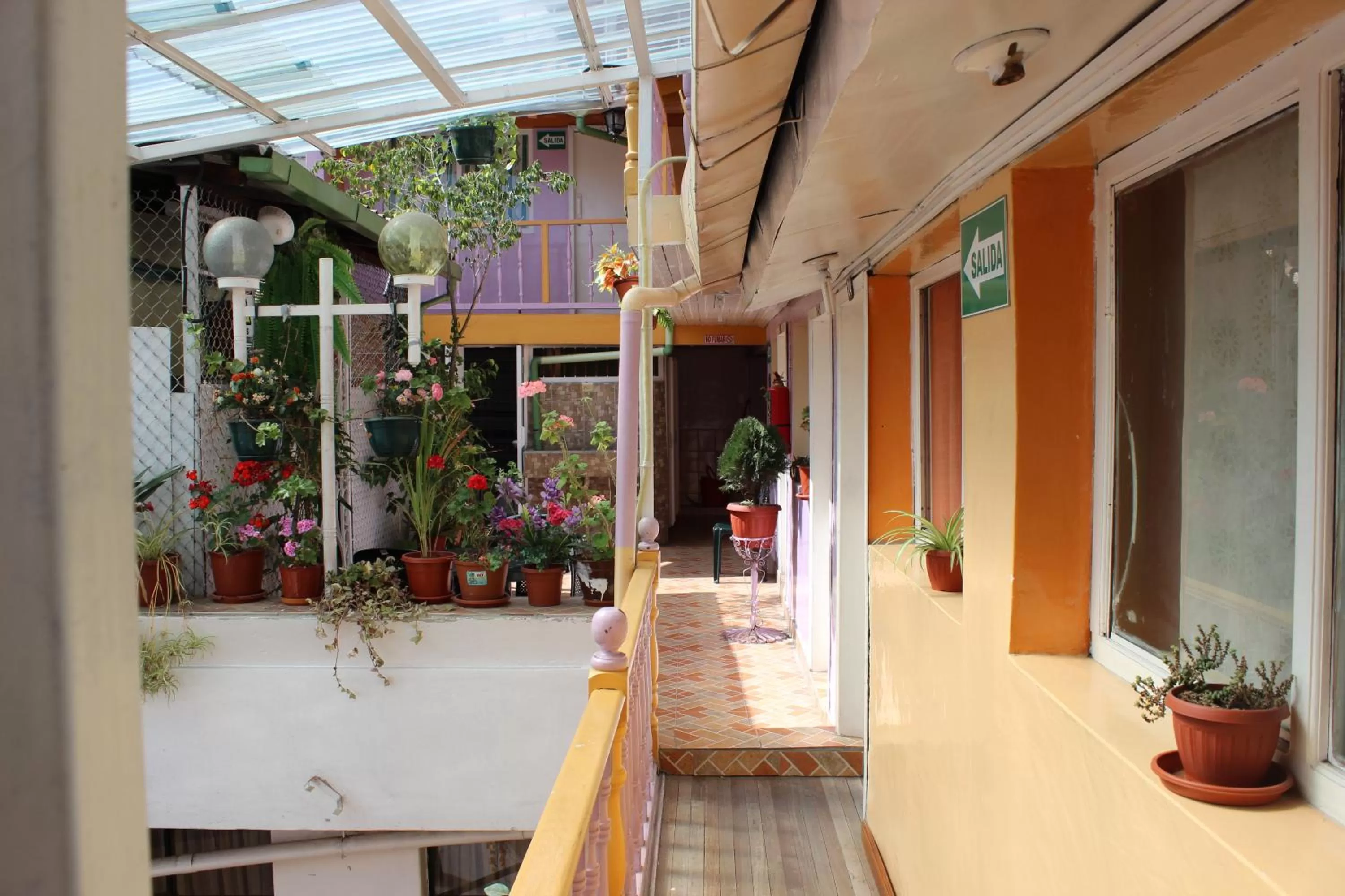 Garden in Hostal Yumbo Imperial