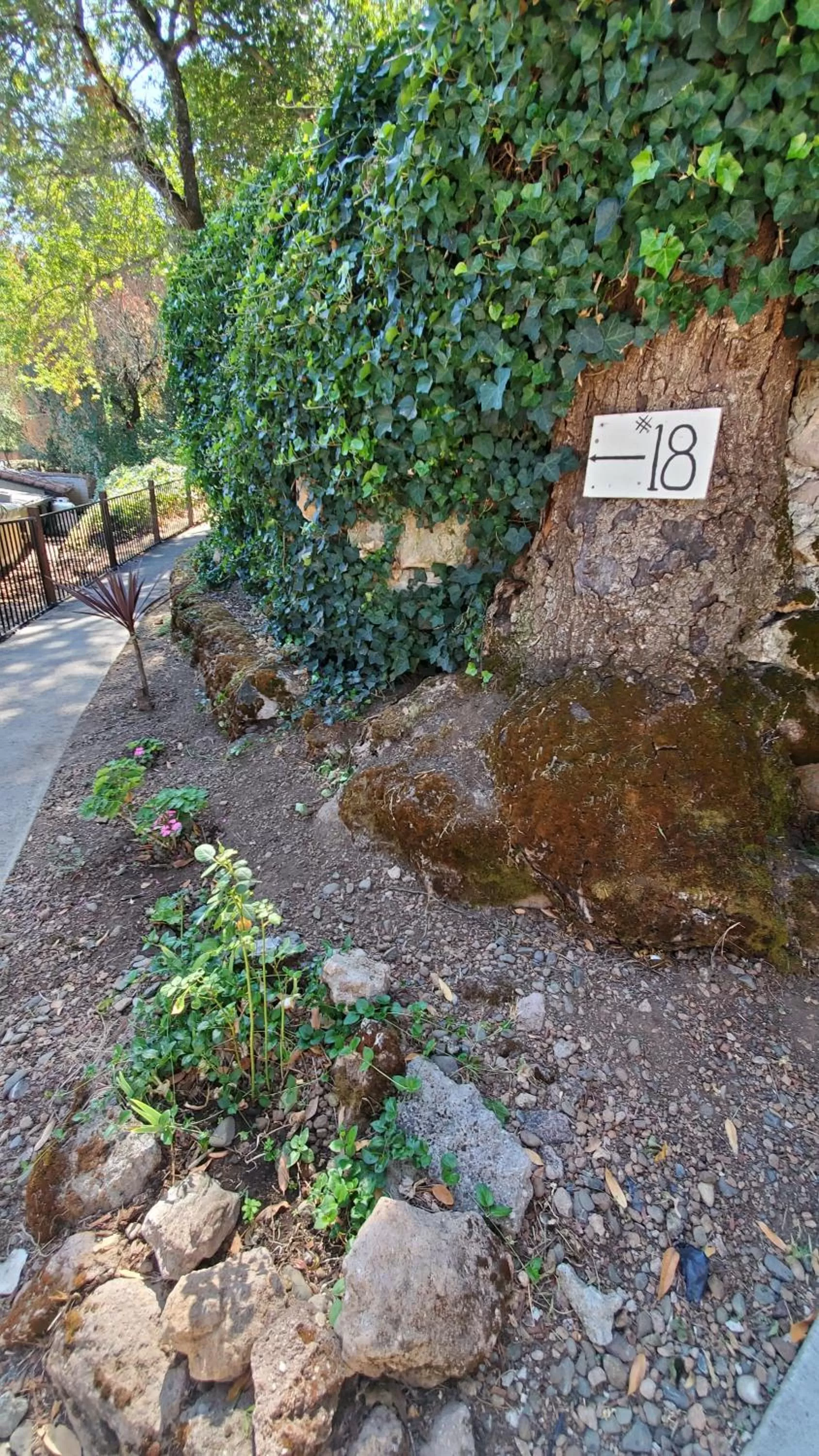 Clear Lake Vista Resort