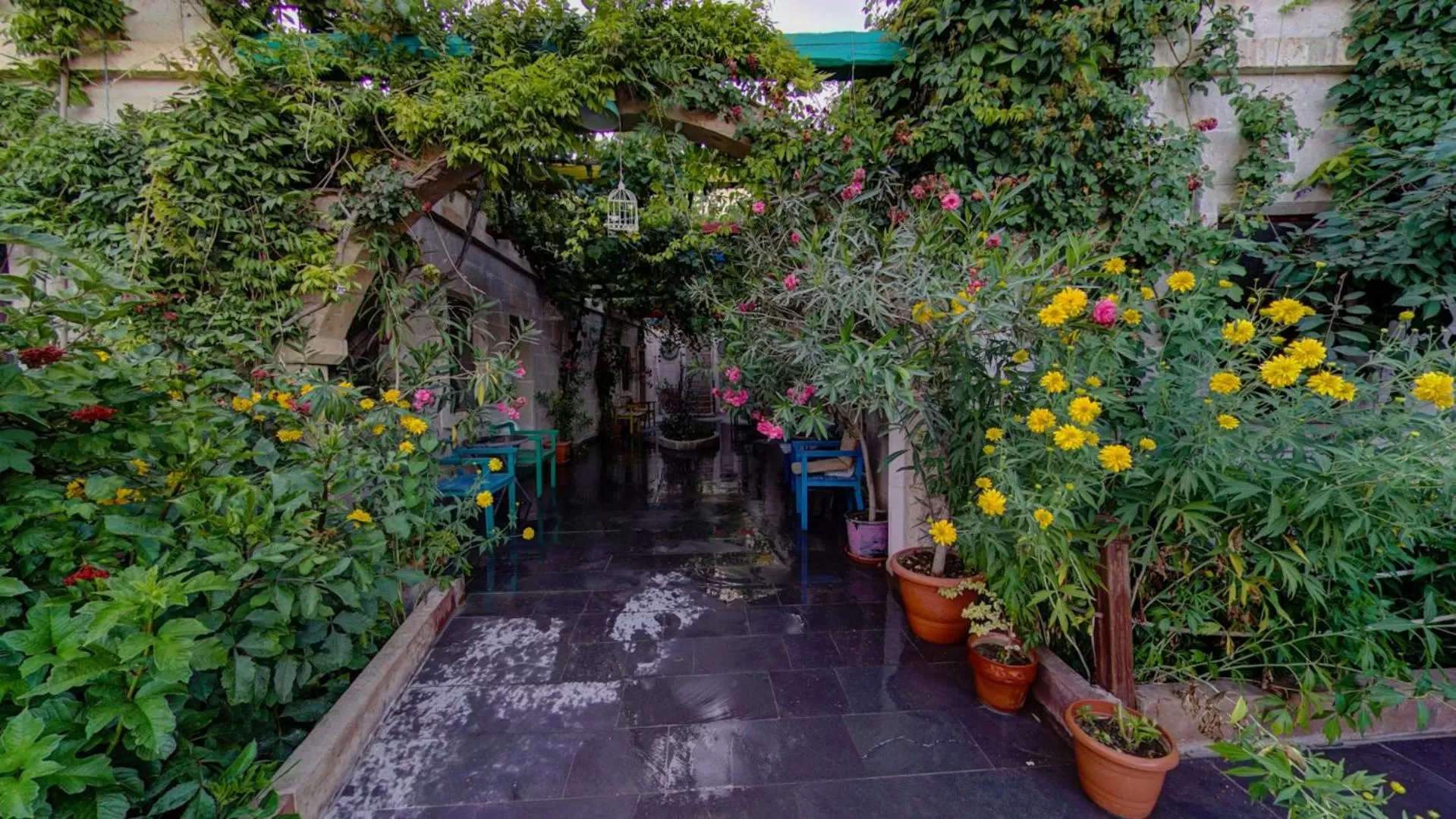 Swimming pool in Roc Of Cappadocia