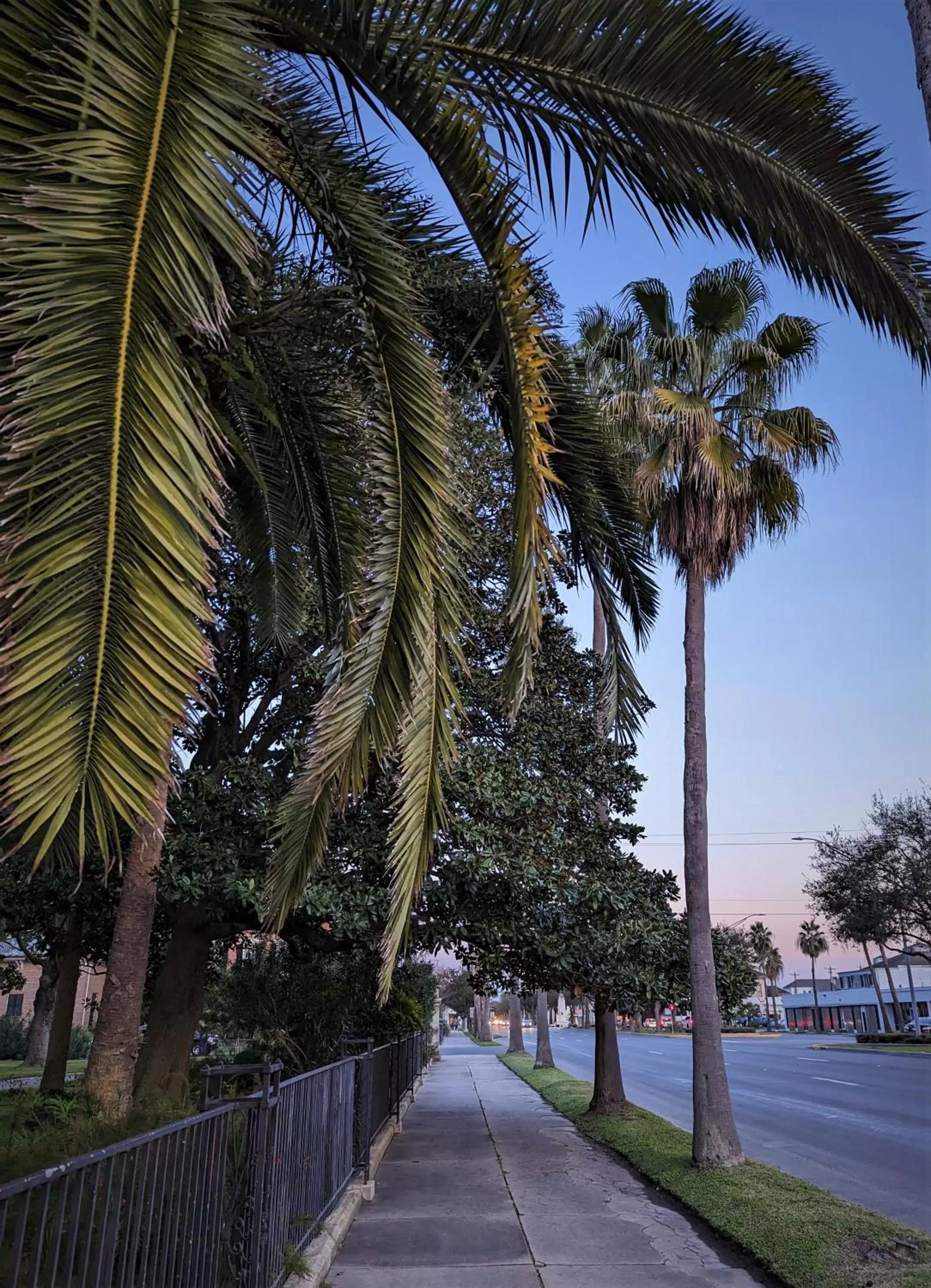 Neighbourhood in The 1890 Freeman House