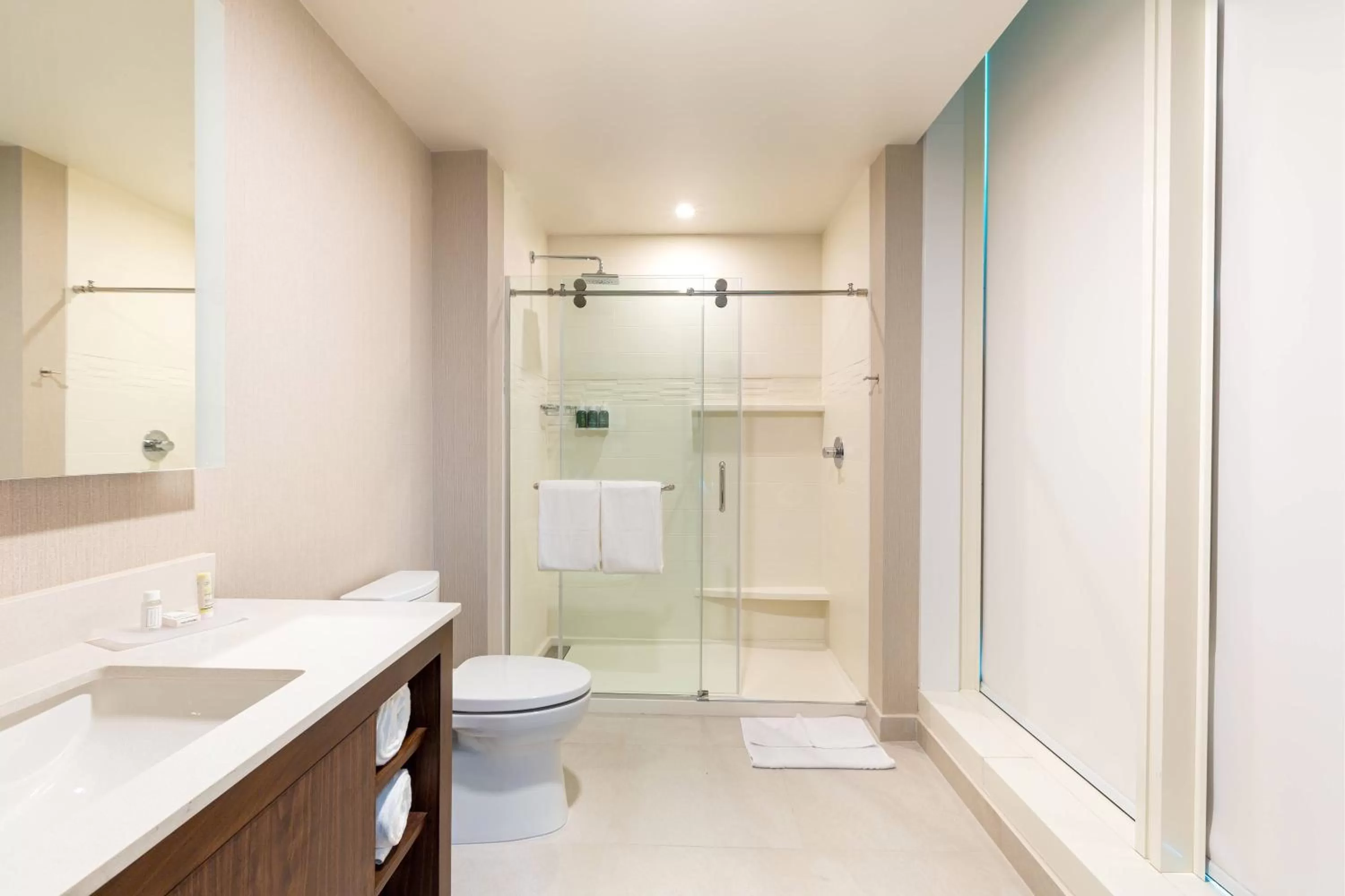 Bathroom in Residence Inn by Marriott Panama City