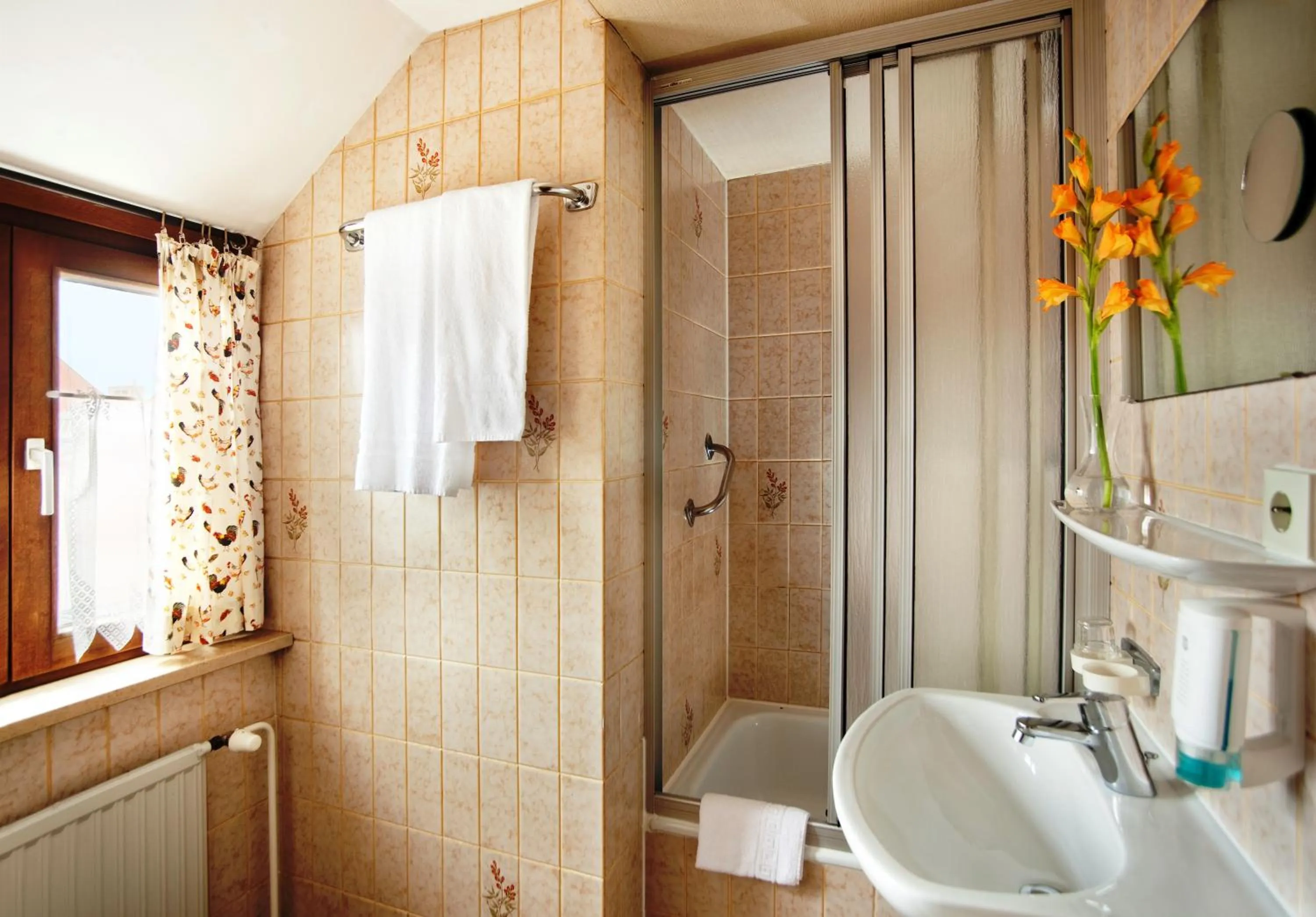 Bathroom in Hotel Hahn