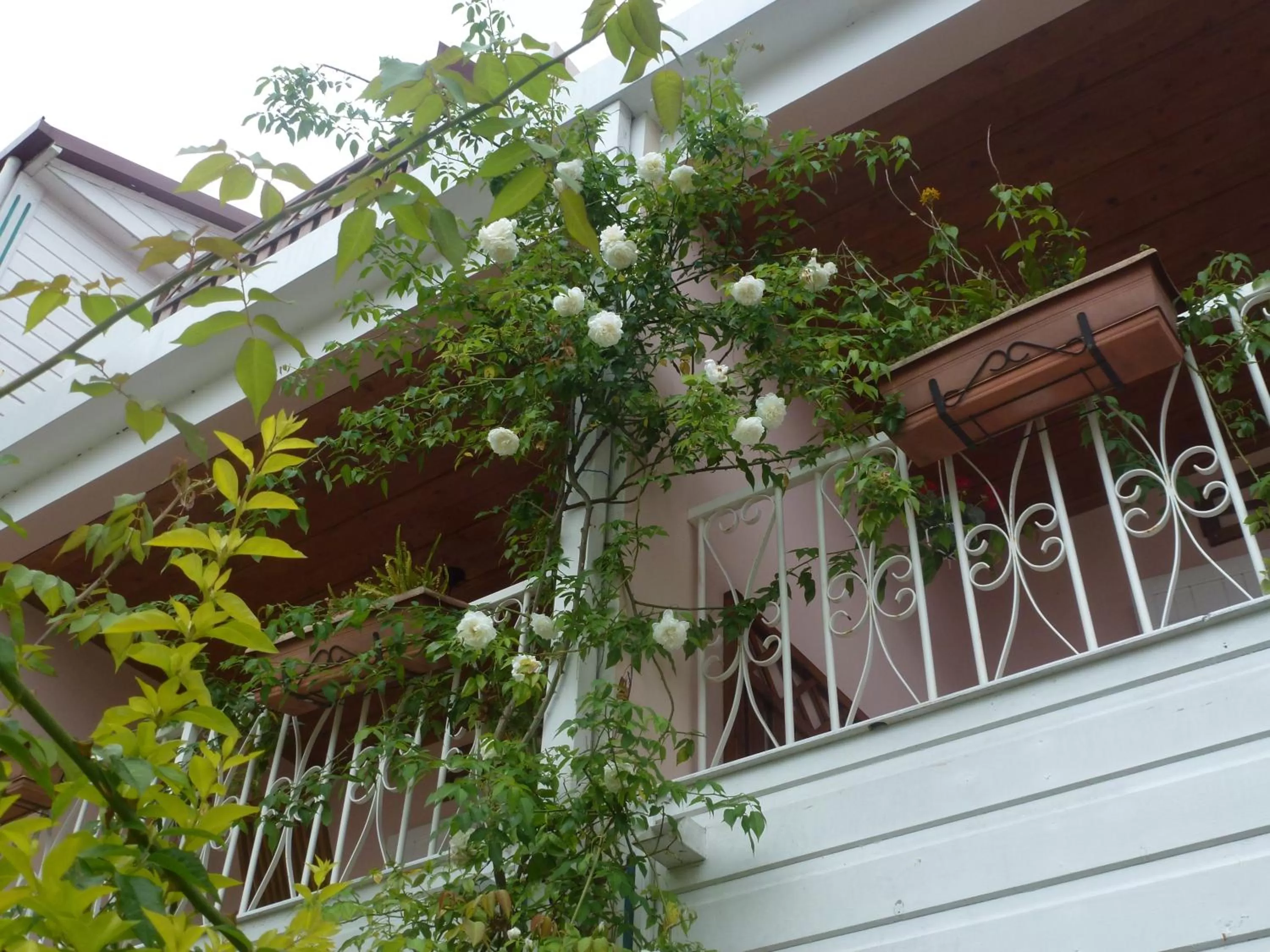 Facade/entrance, Property Building in Hotel Des Neiges