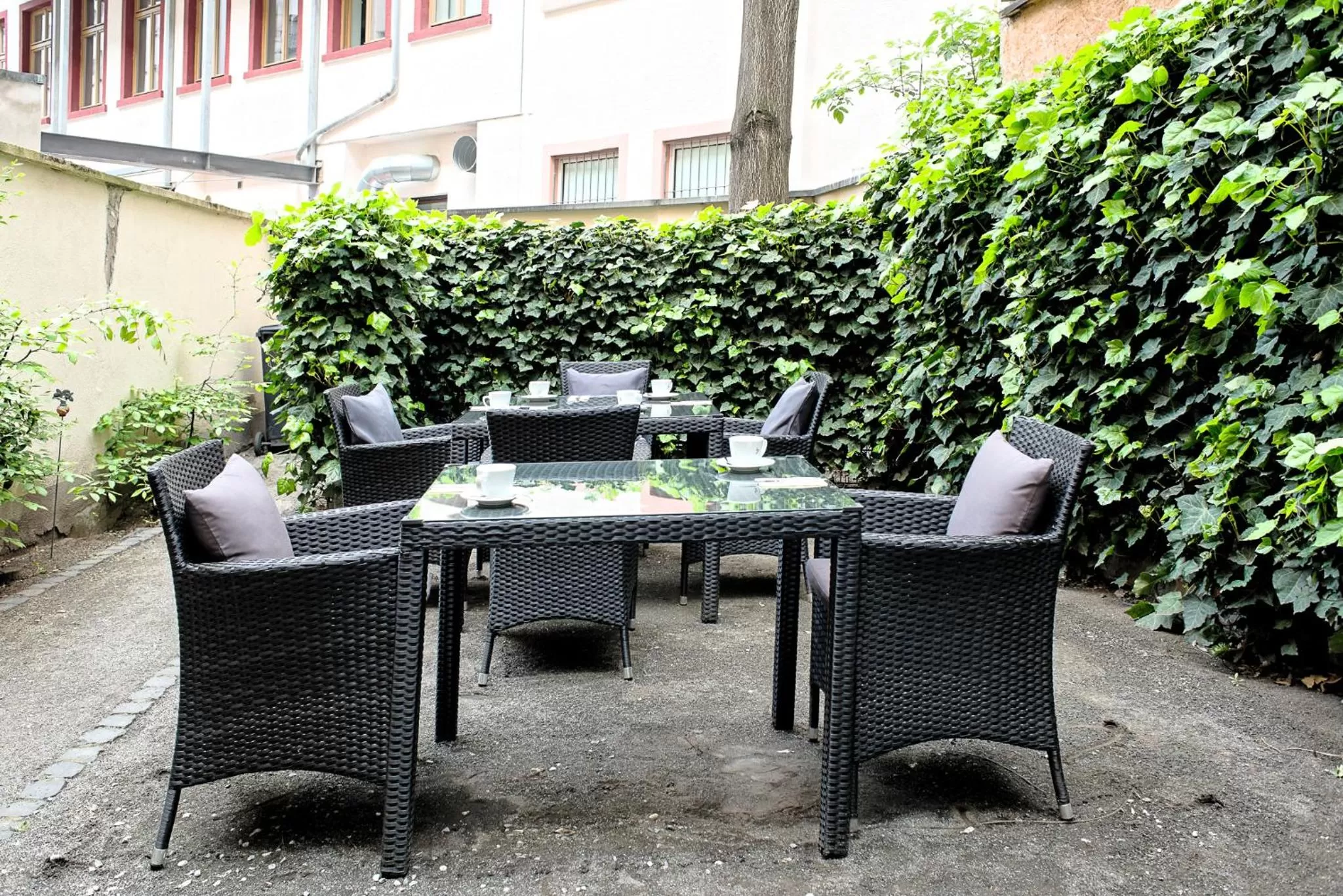 Garden in TOWNHOUSE Hotel