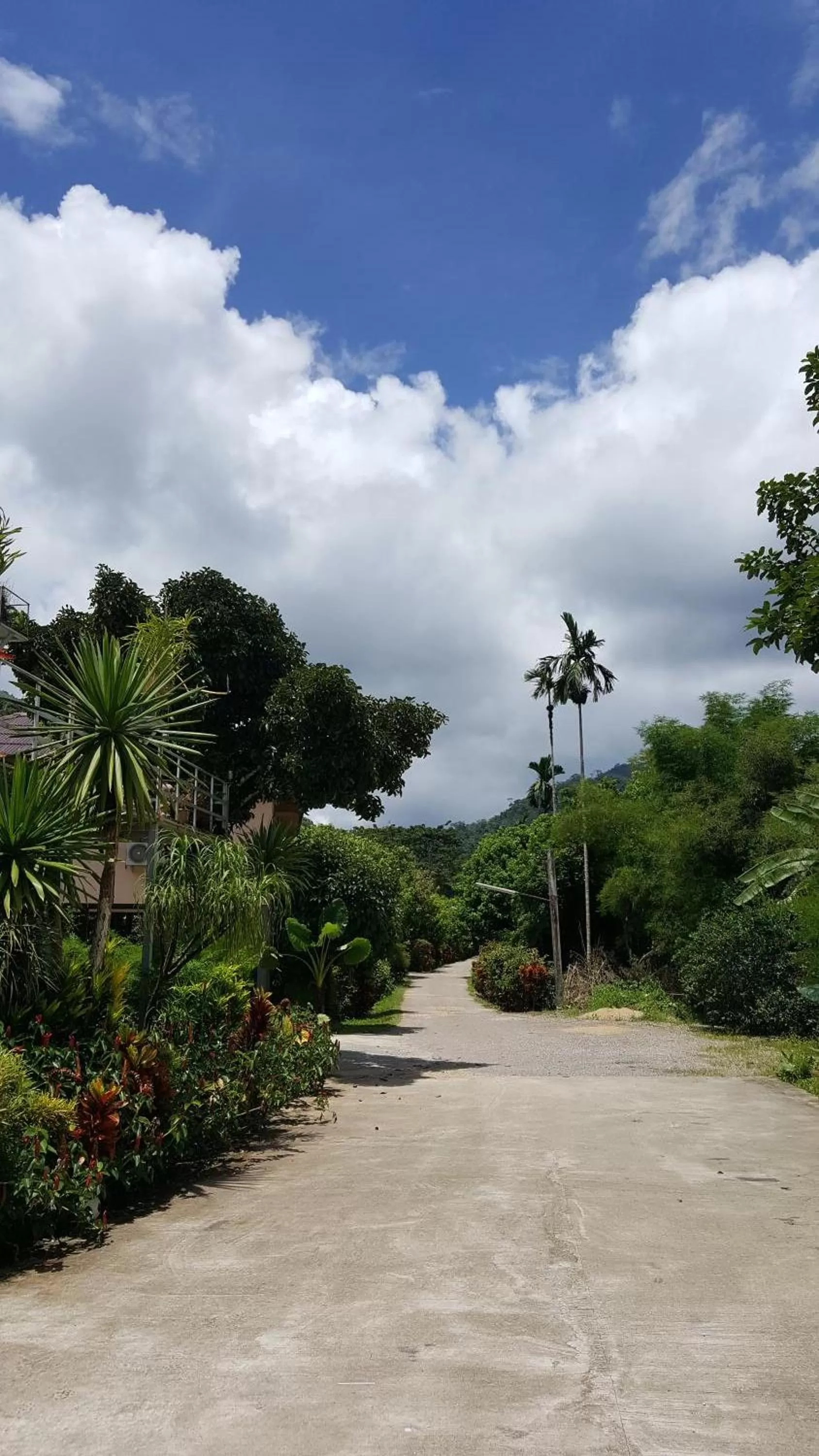 Facade/entrance in Khao Sok Jungle Huts Resort