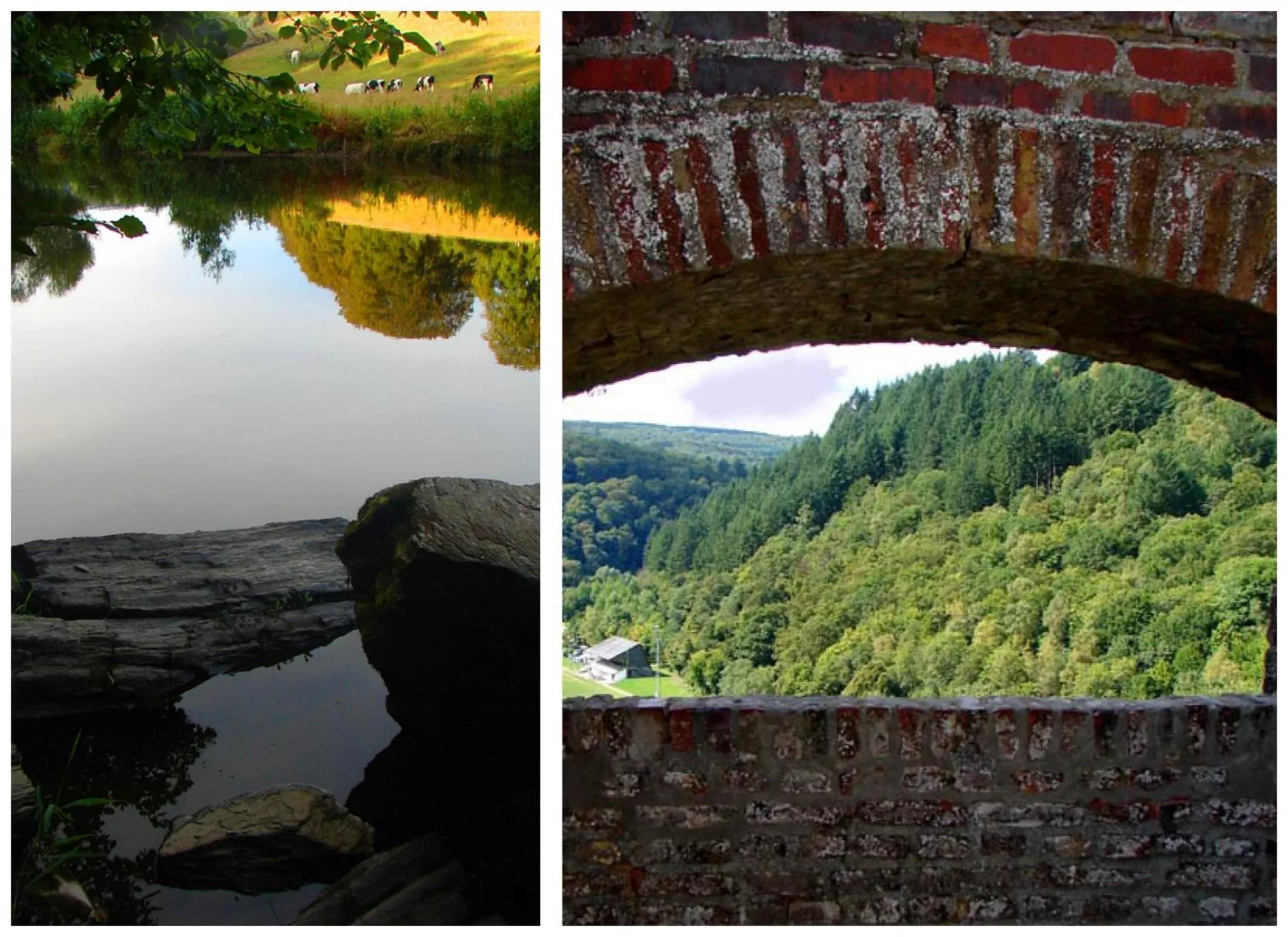 Mountain view in Golden Lion