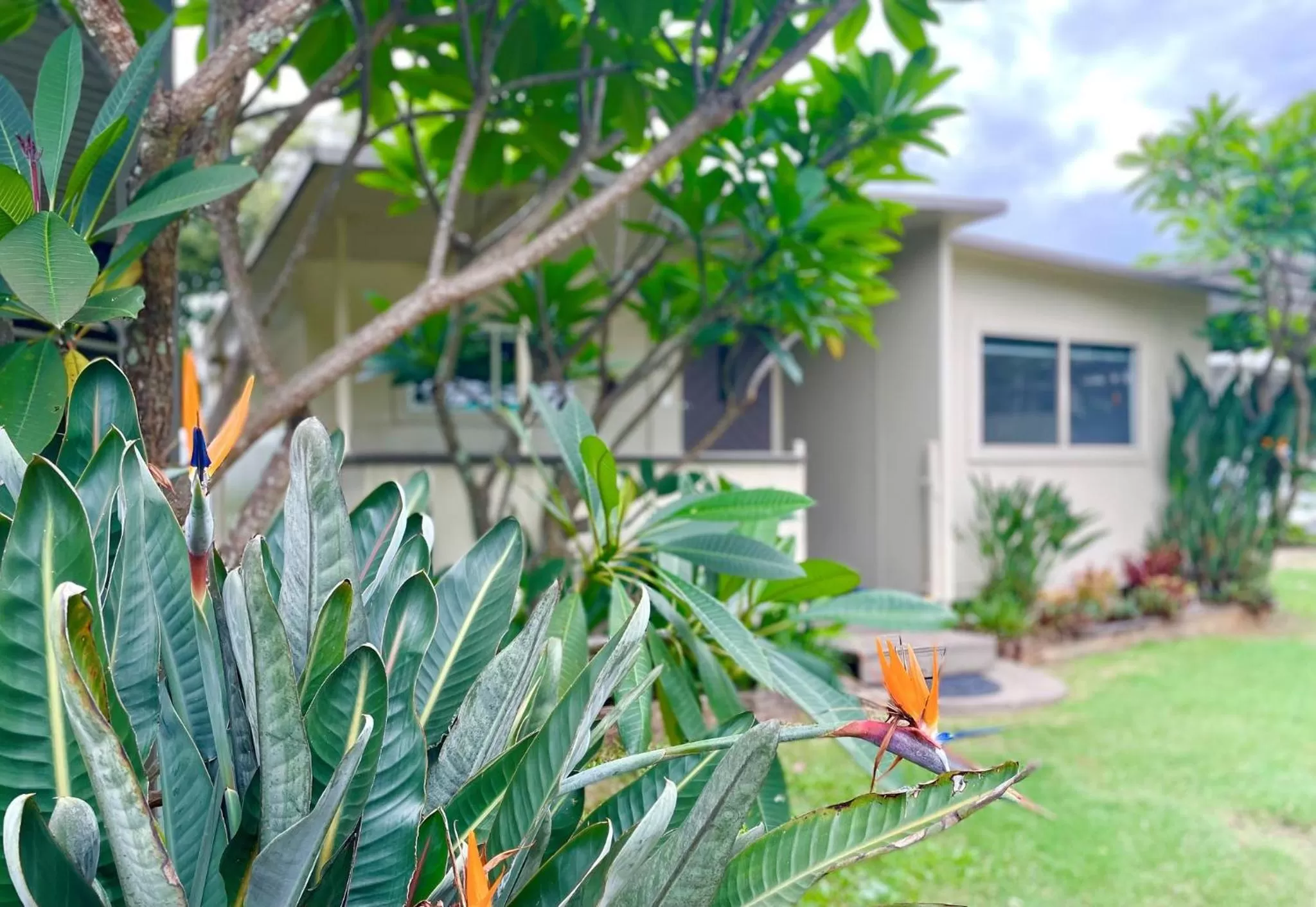 Facade/entrance in Esk Caravan Park & Rail Trail Motel