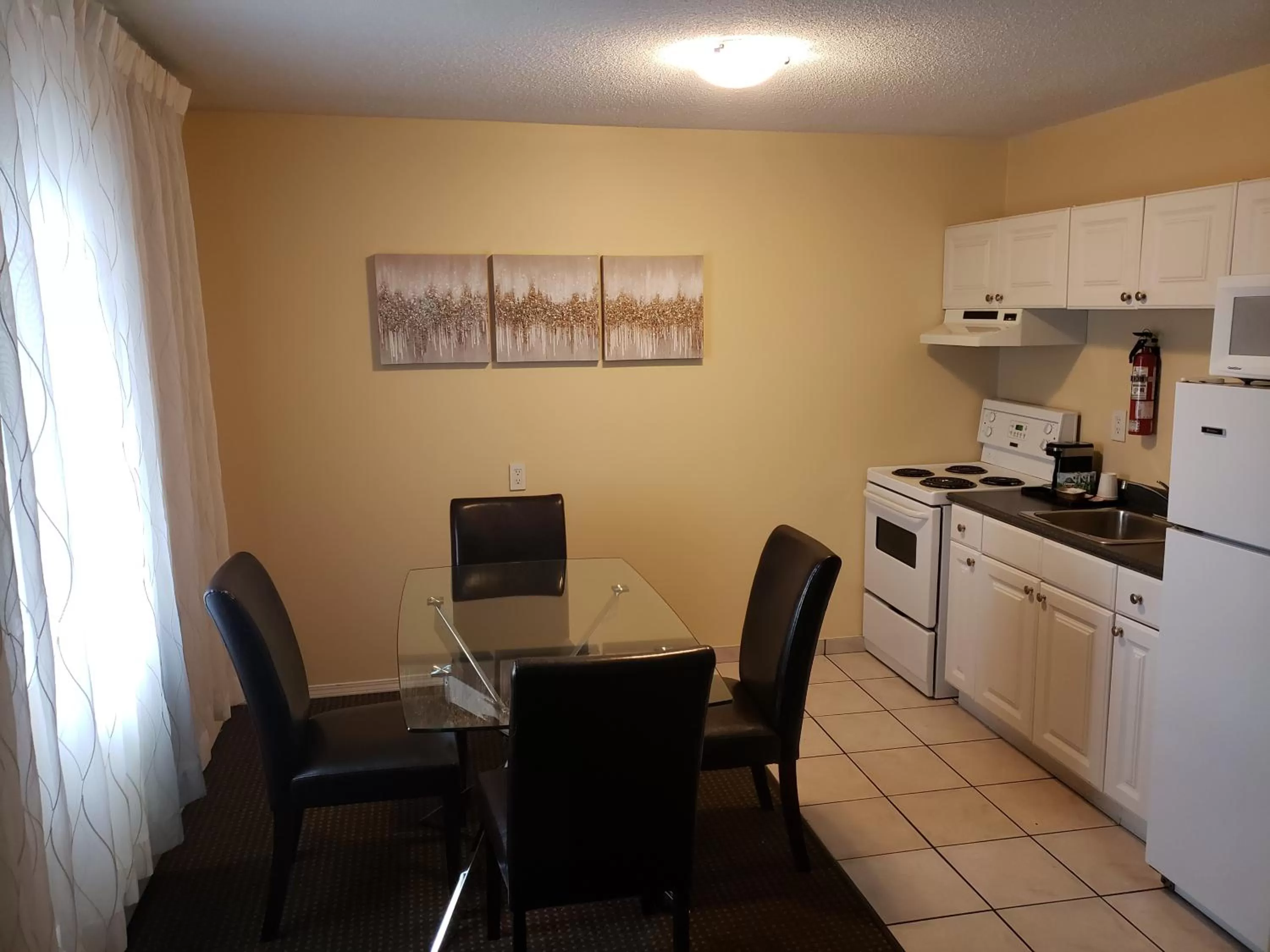 Kitchen or kitchenette in Arbutus Inn