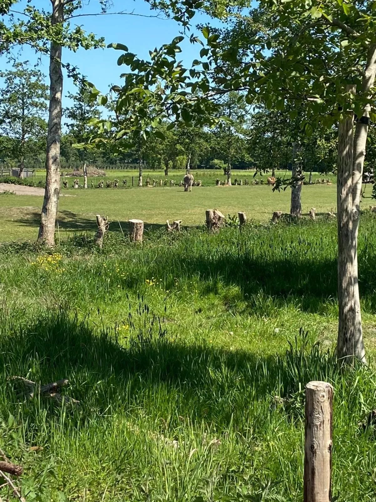 Natural landscape in Hotel Hof van 's Gravenmoer