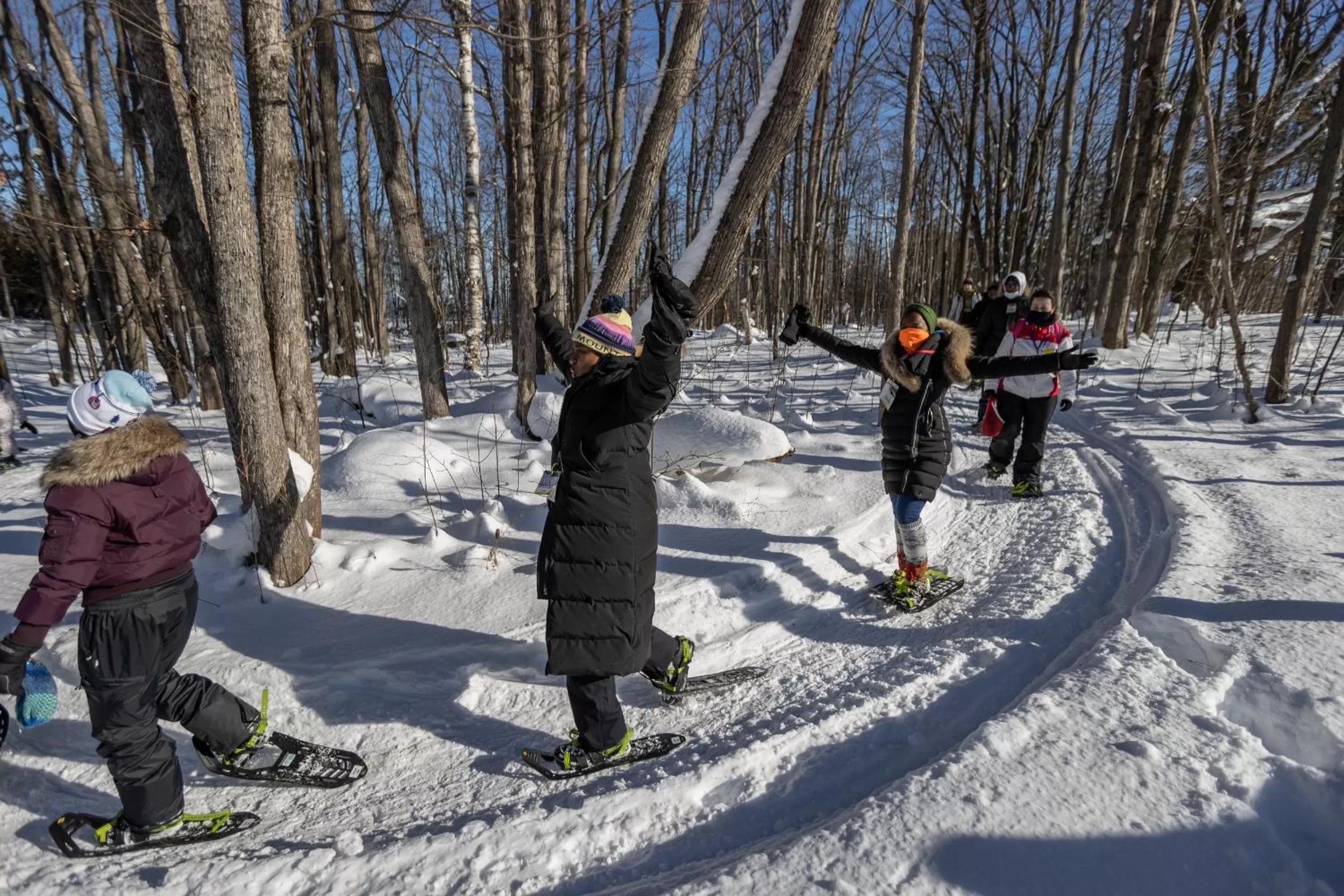 Winter in Blue Mountain Resort Home Collection