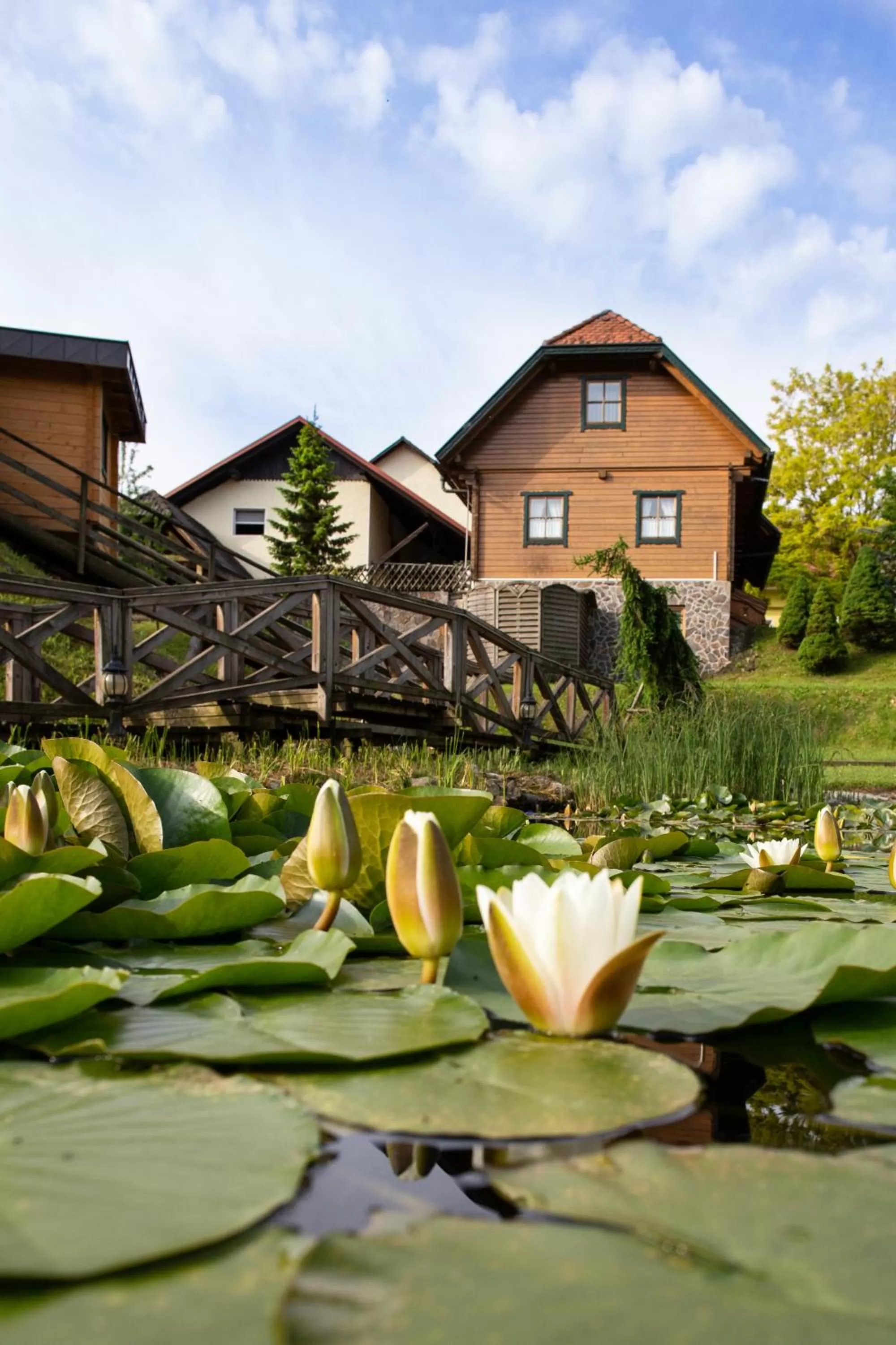 Facade/entrance in Korošec Apartments and Wellness Centre
