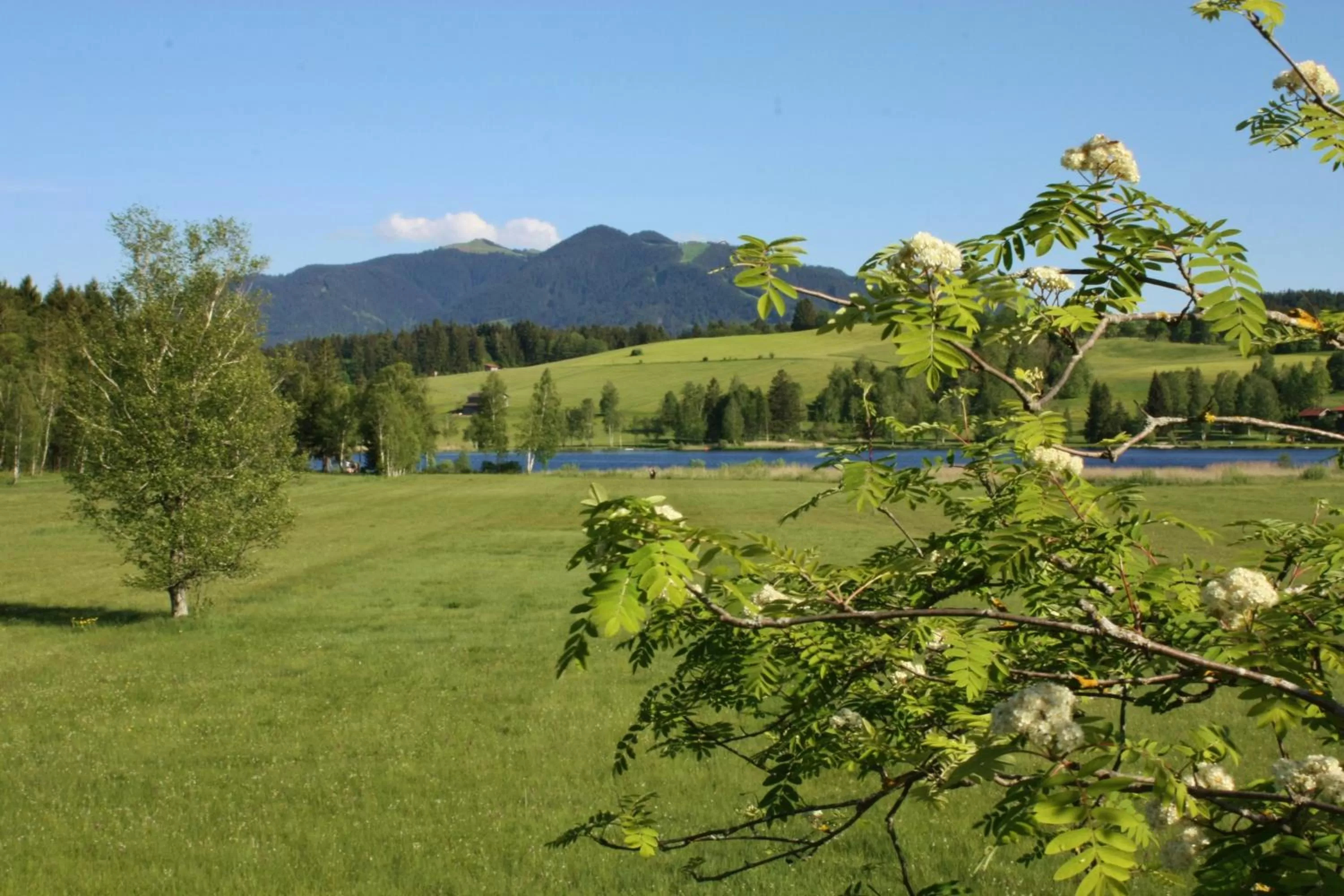 Natural landscape in Parkhotel am Soier See