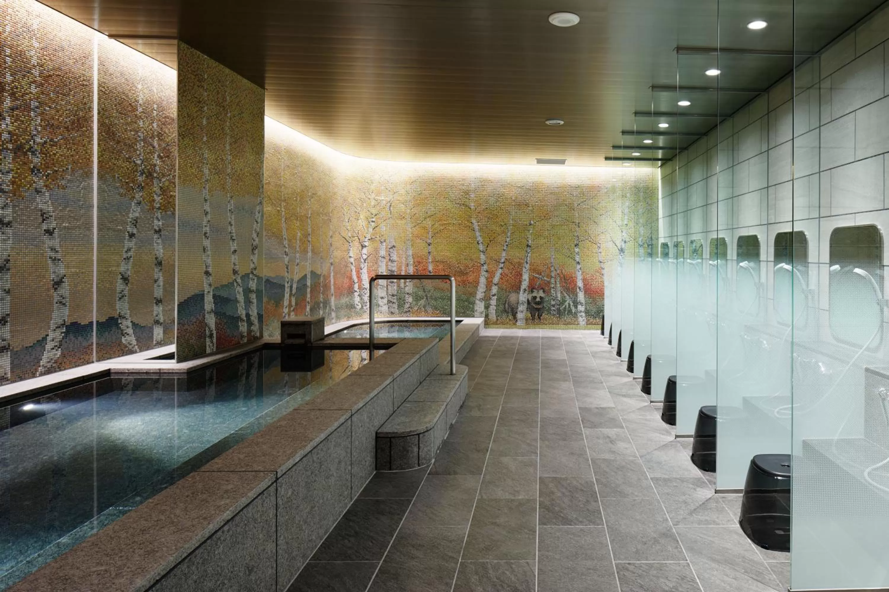 Public Bath in Tenza Hotel & SKYSPA at Sapporo Central