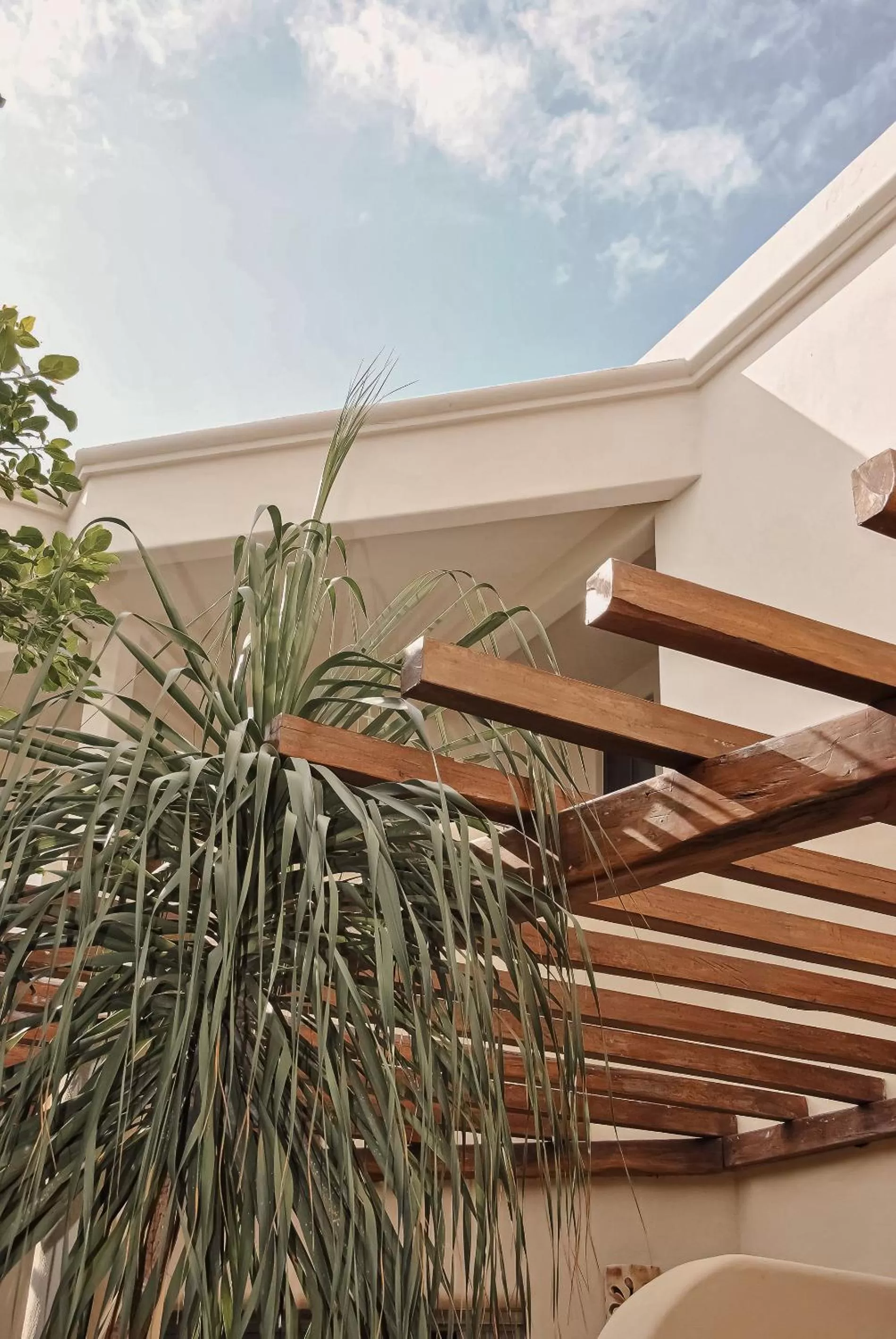 Decorative detail in Boutique Hotel Posada 06 Tulum