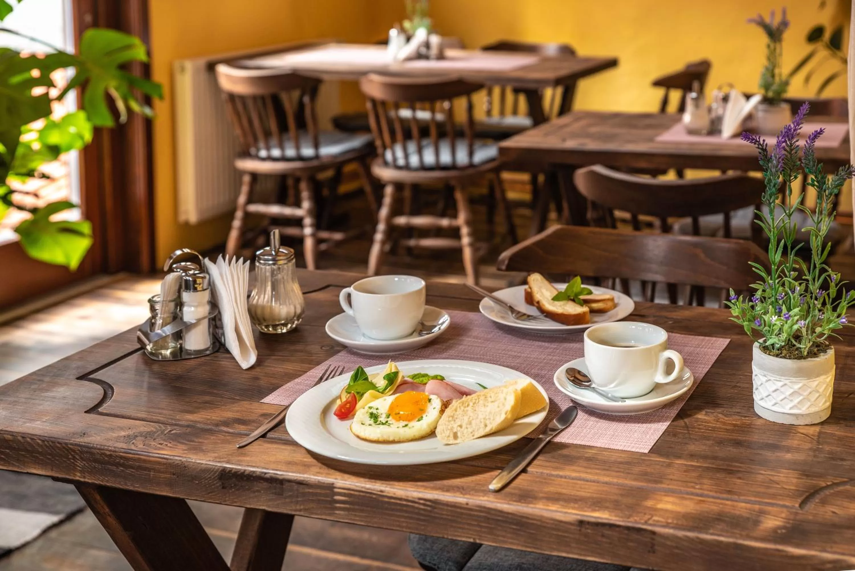 Food and drinks in Ubytování u BÍLÉ PANÍ