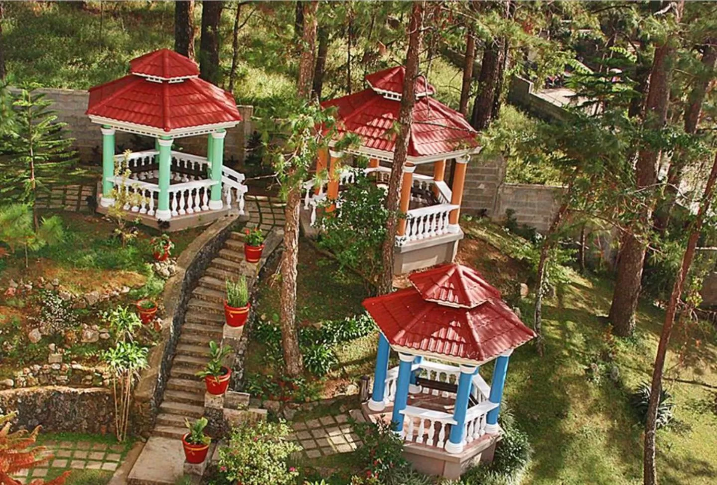 Garden in Hotel Elizabeth - Baguio