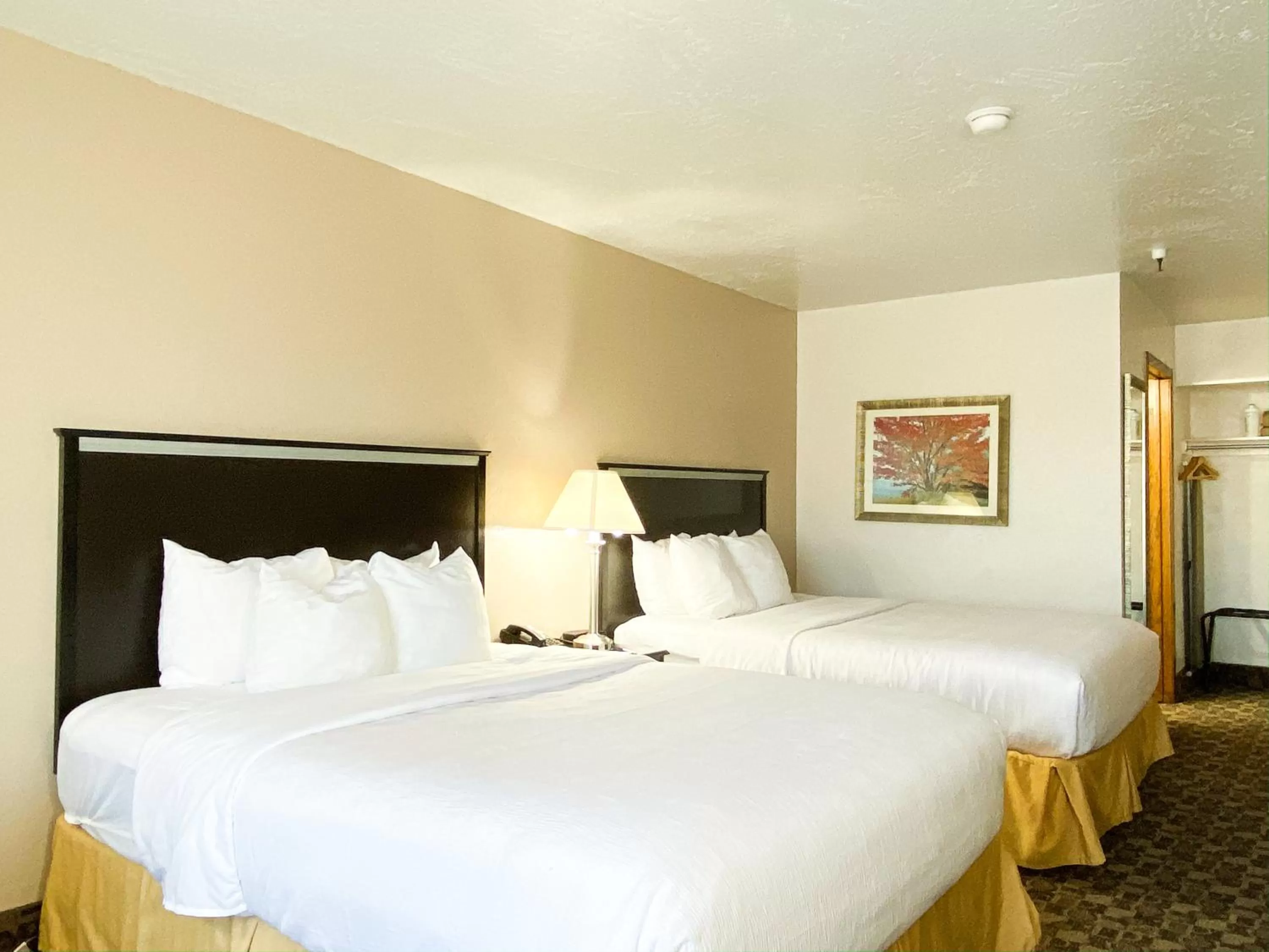 Bed in Quality Inn Vernal near Dinosaur National Monument