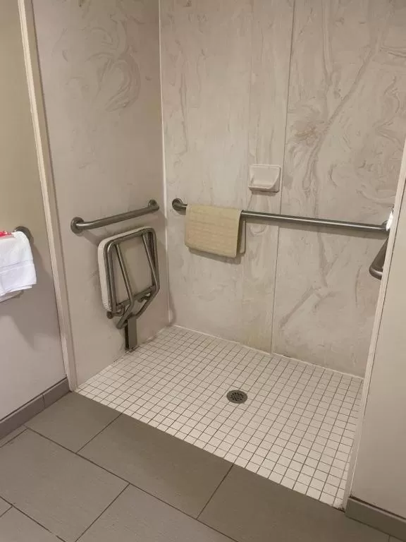 Shower in Econo Lodge Newport Smoky Mountains Gateway