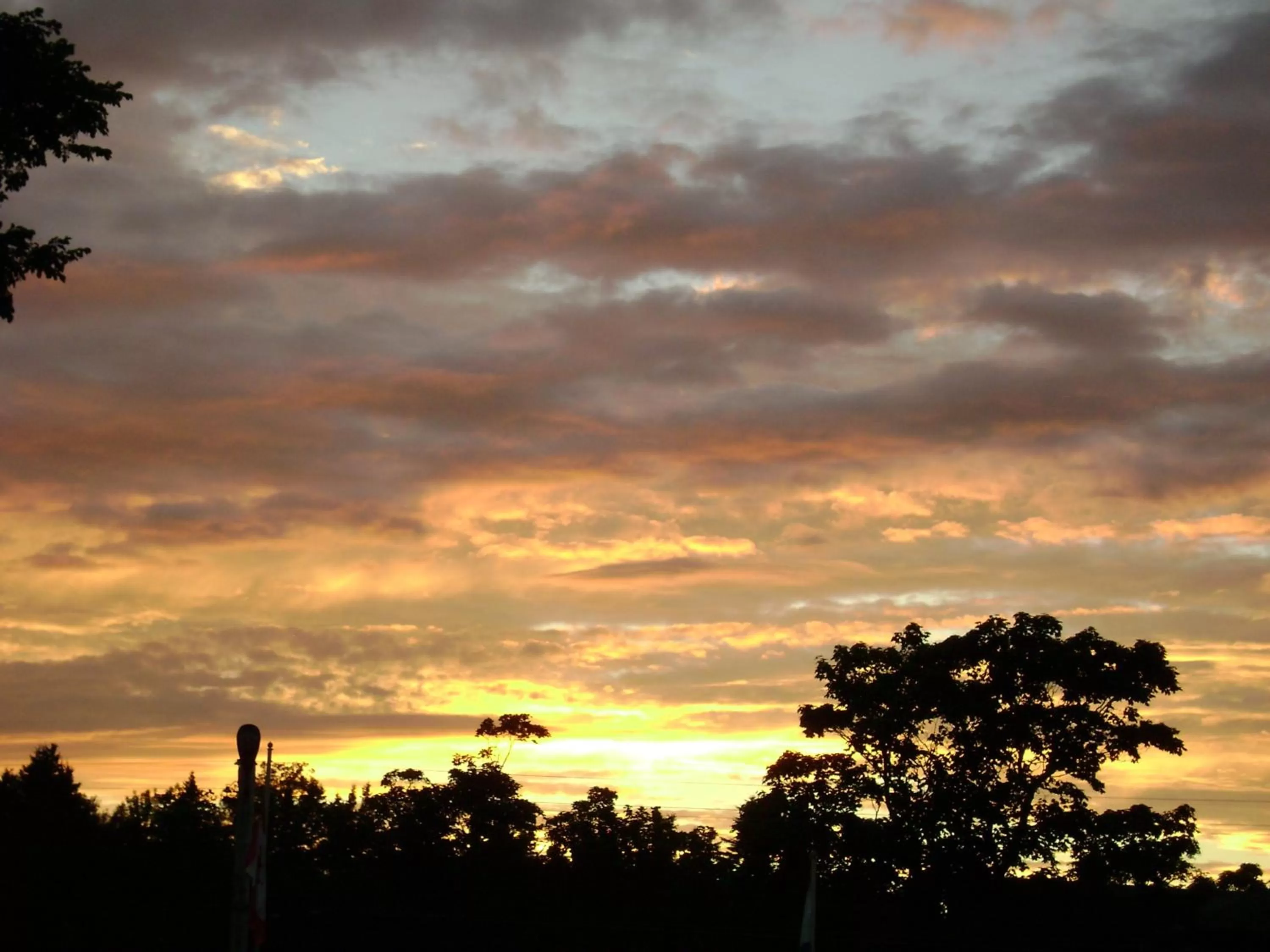 View (from property/room) in Lakelawn B&B and Motel