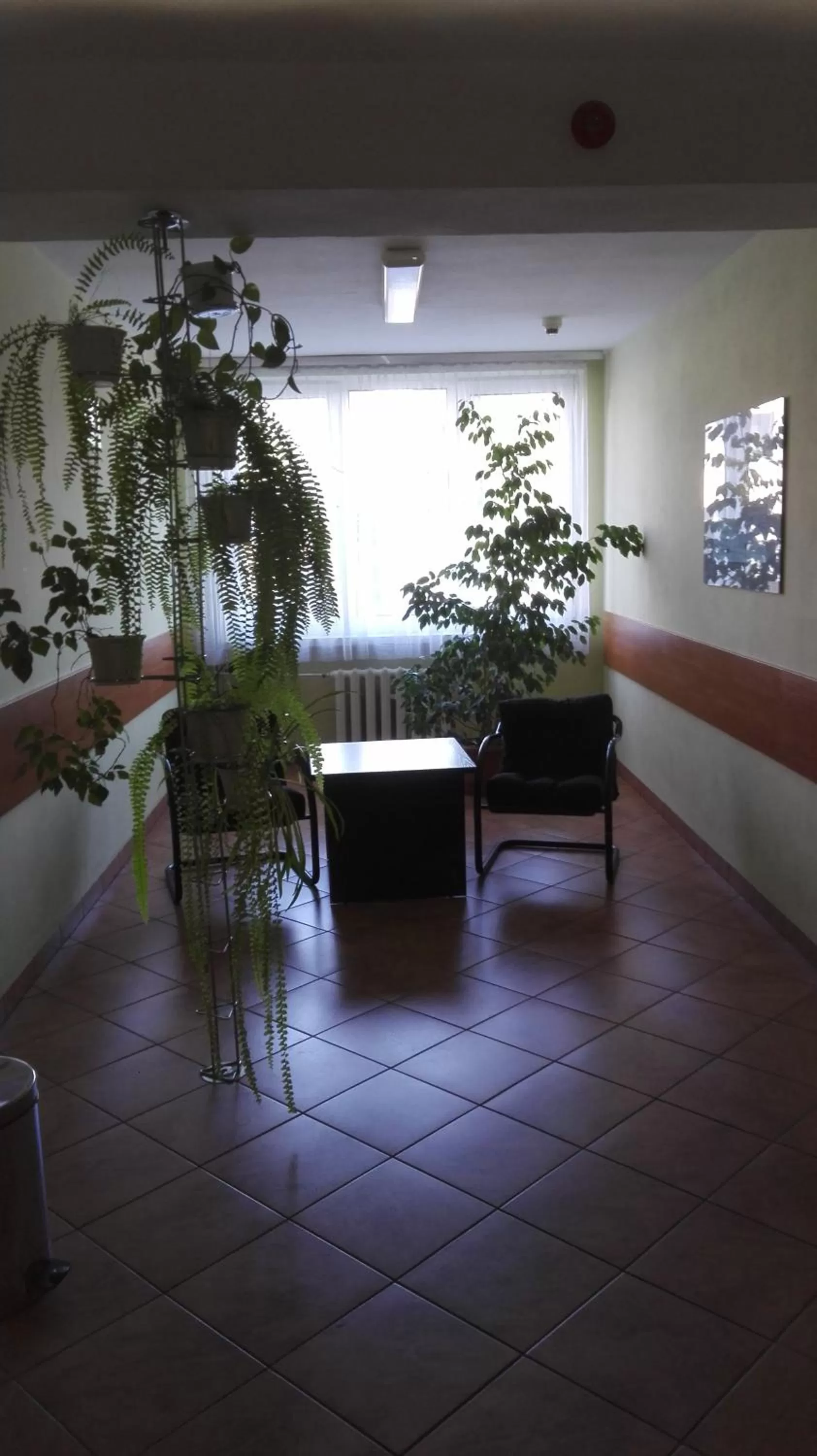 Lobby or reception in HOTEL ODR