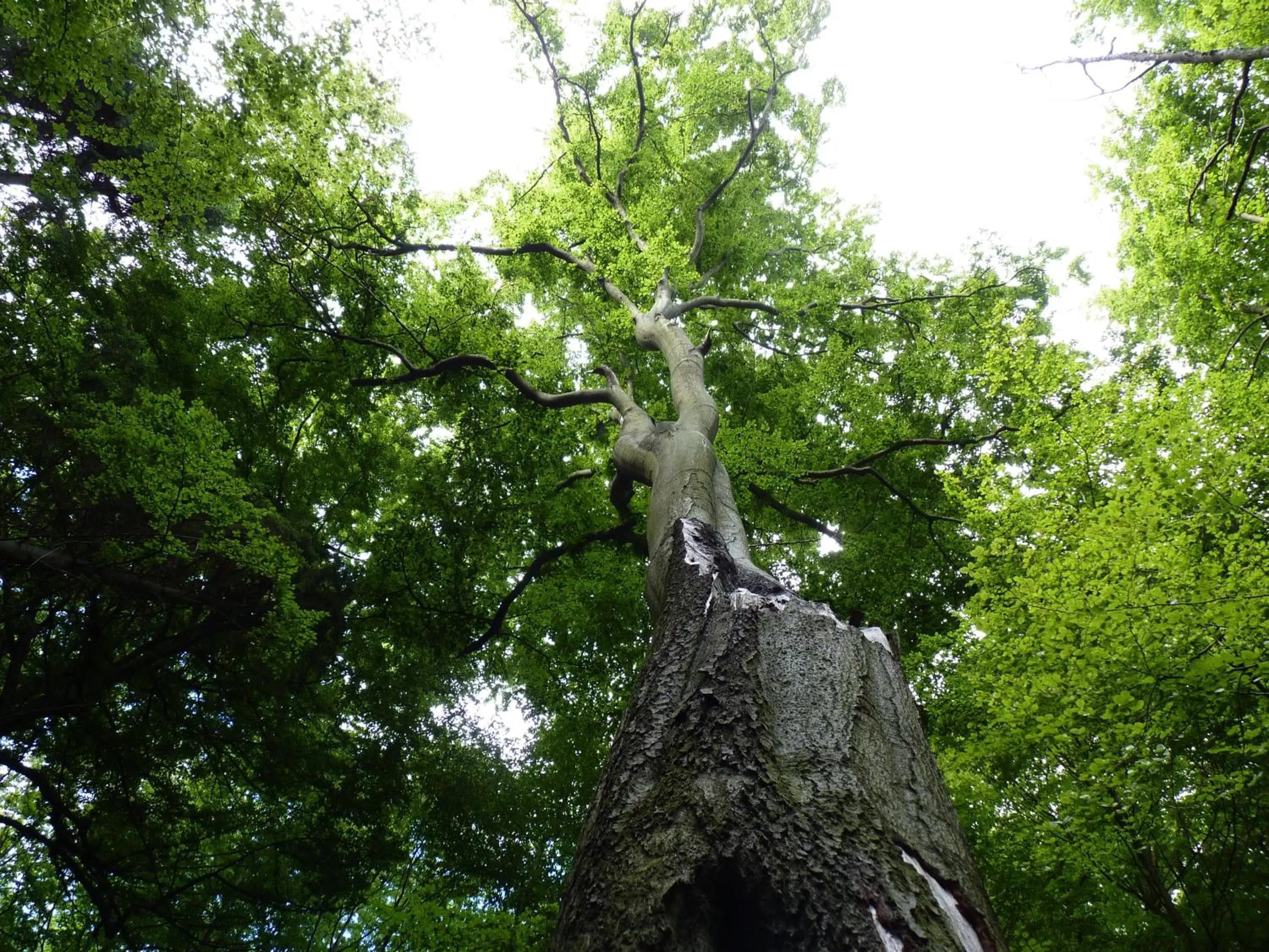 Other in Hotel Am Markt