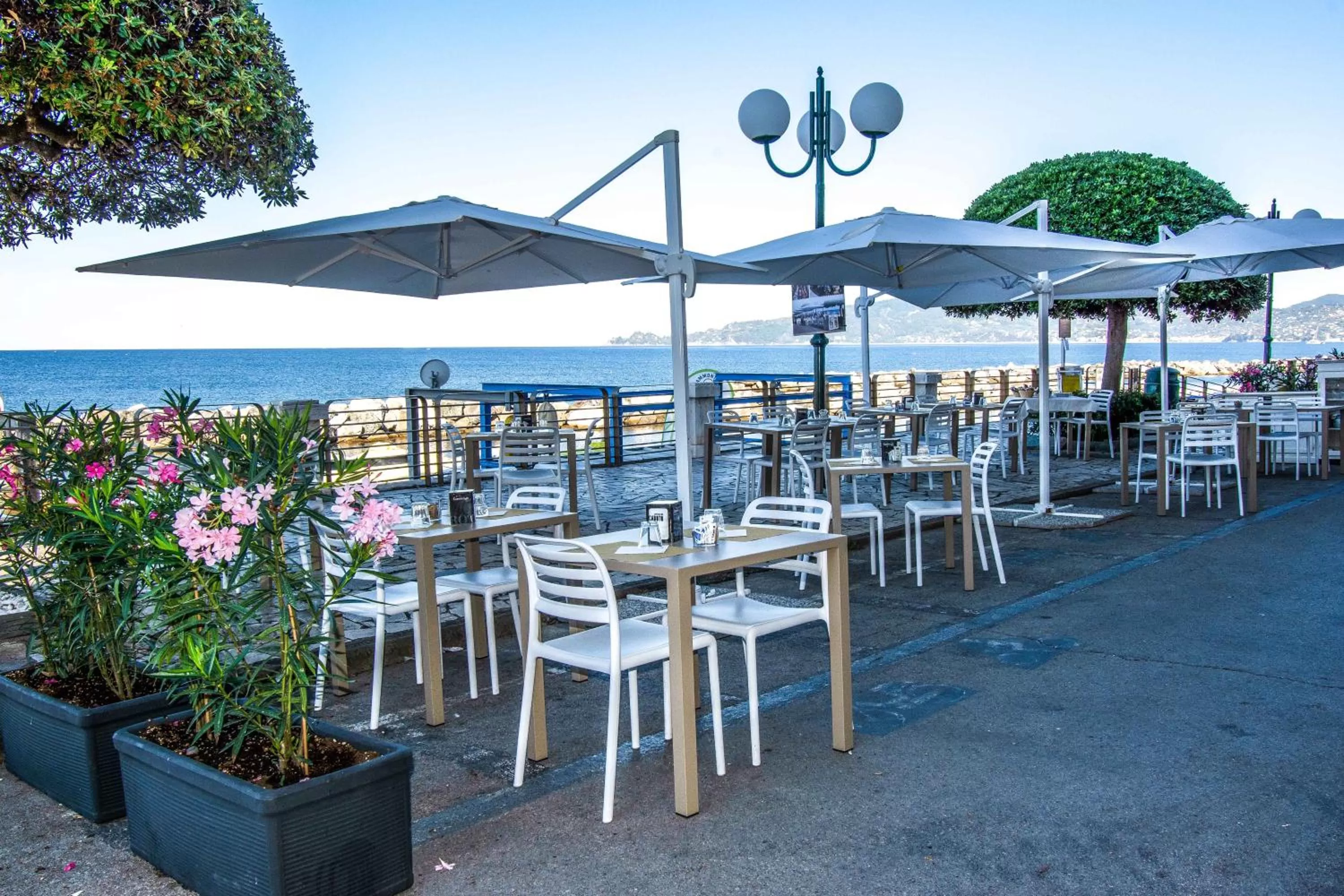 Restaurant/places to eat in Hotel San Pietro Chiavari