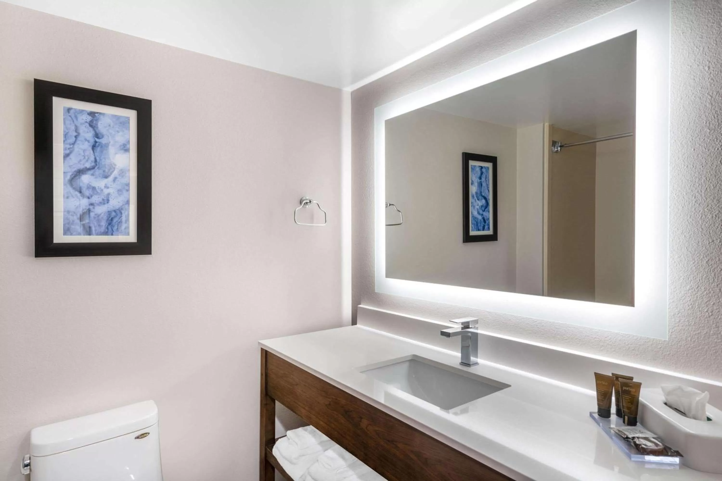 Bathroom in Holiday Inn Express & Suites - Mobile - I-65 by IHG
