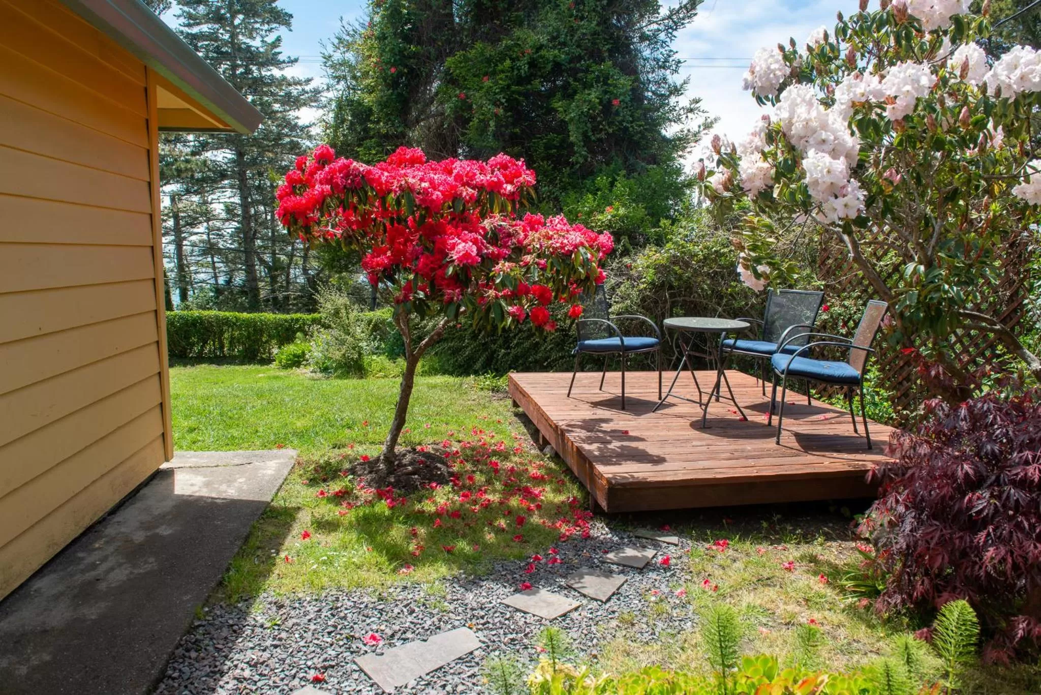 Inn at Buckhorn Cove