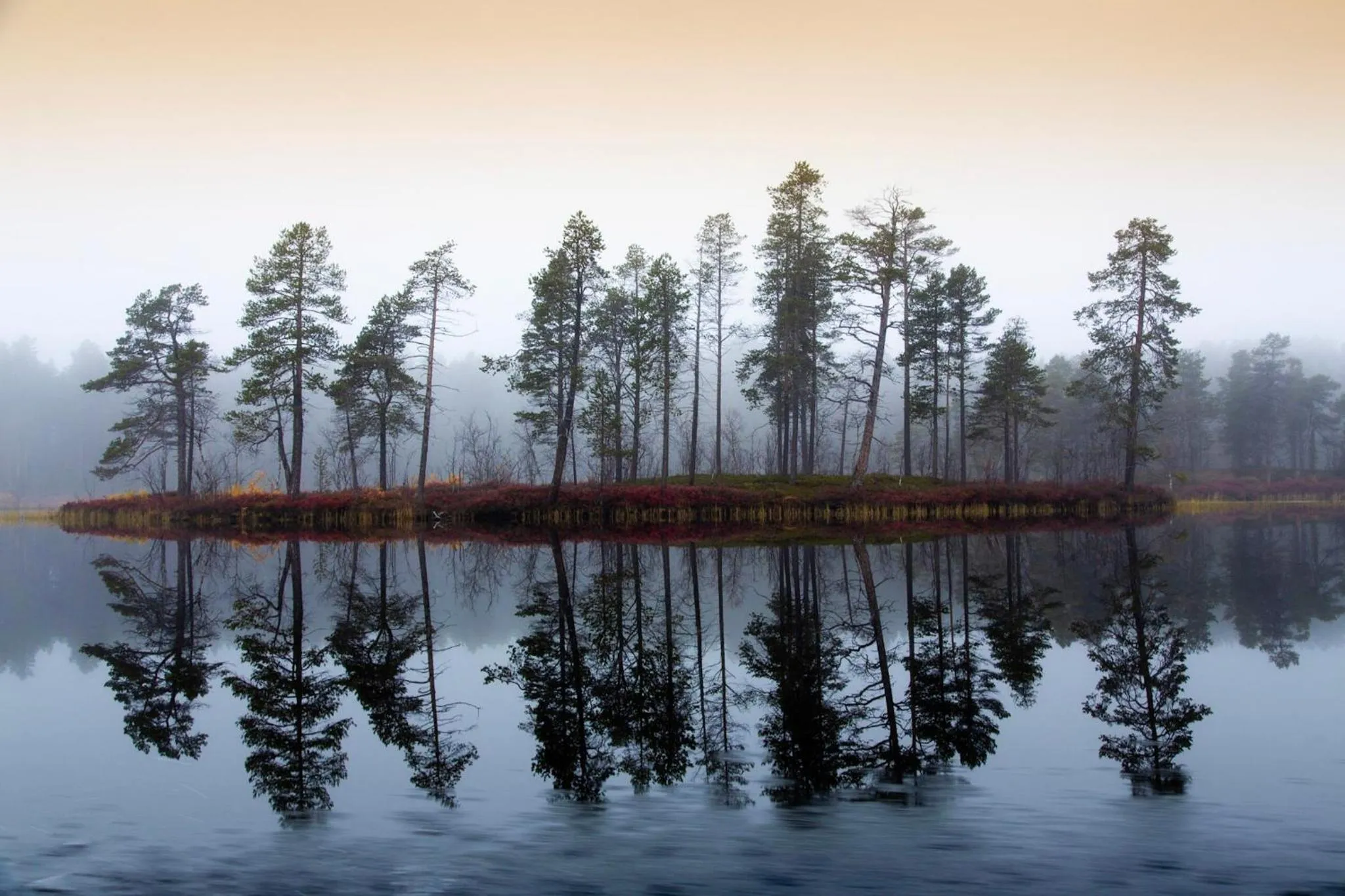 Natural landscape in Aurora Village Ivalo