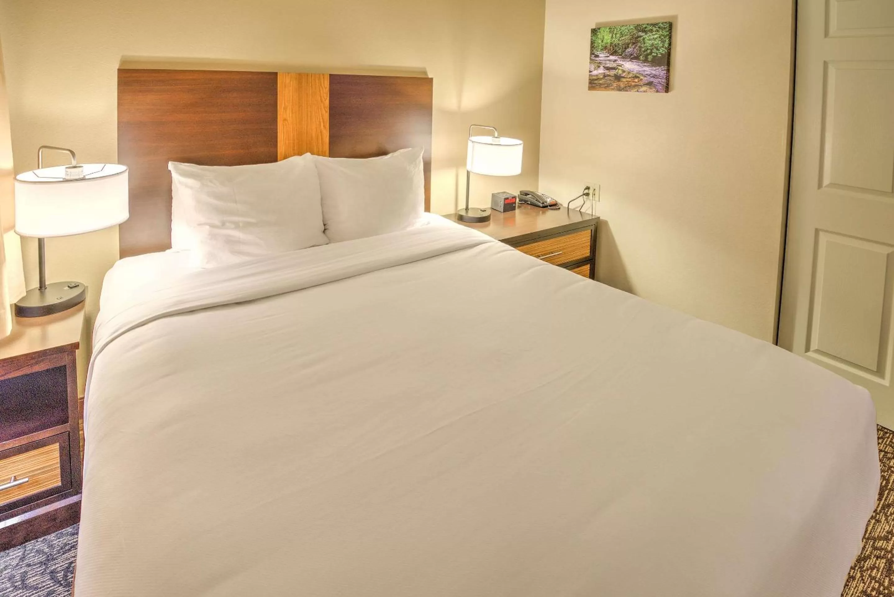 One-Bedroom Suite with One Queen Bed and Sofa Bed in LeConte Hotel & Convention Center, Ascend Hotel Collection
