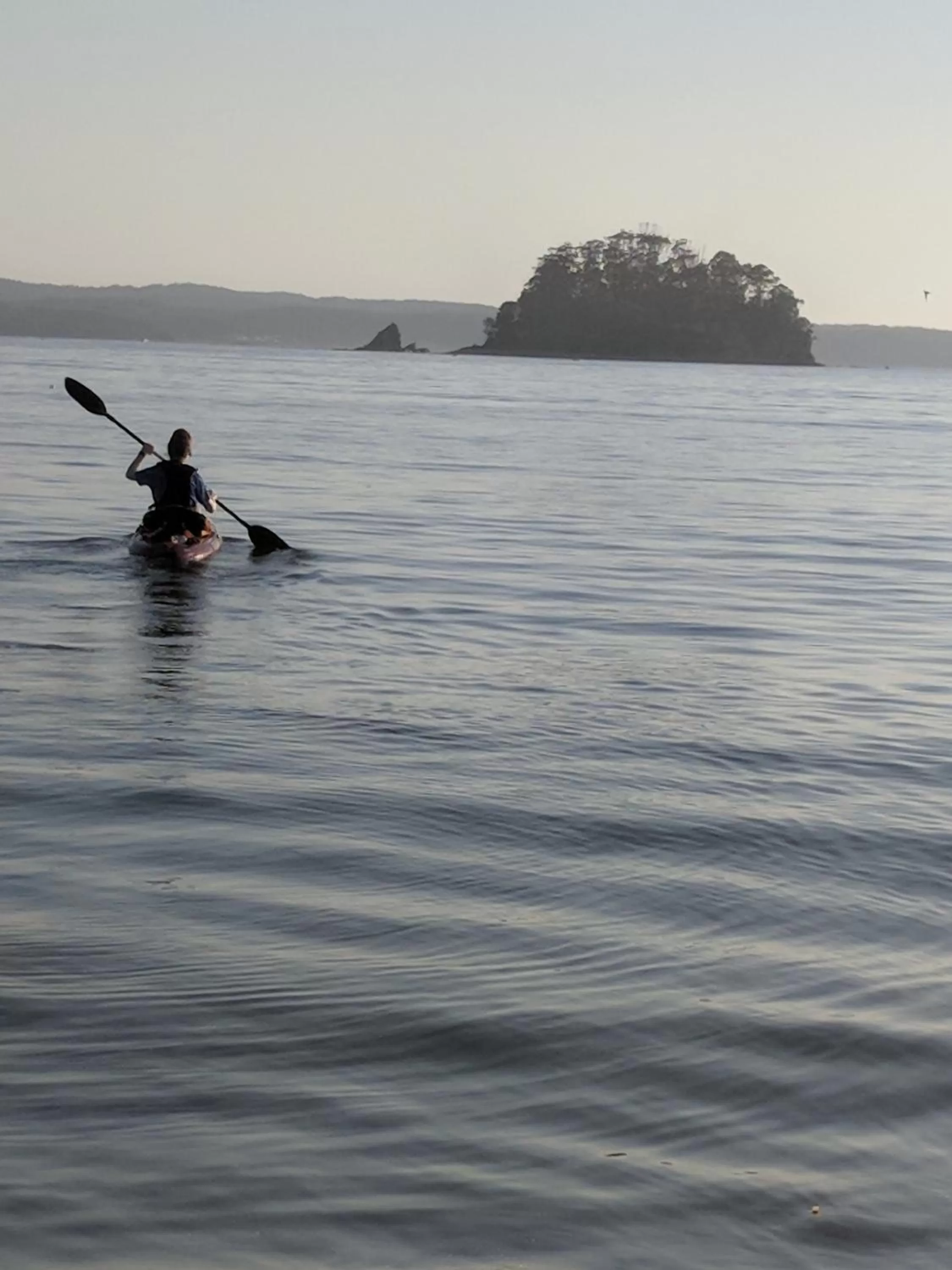 Activities in Araluen Motor Lodge