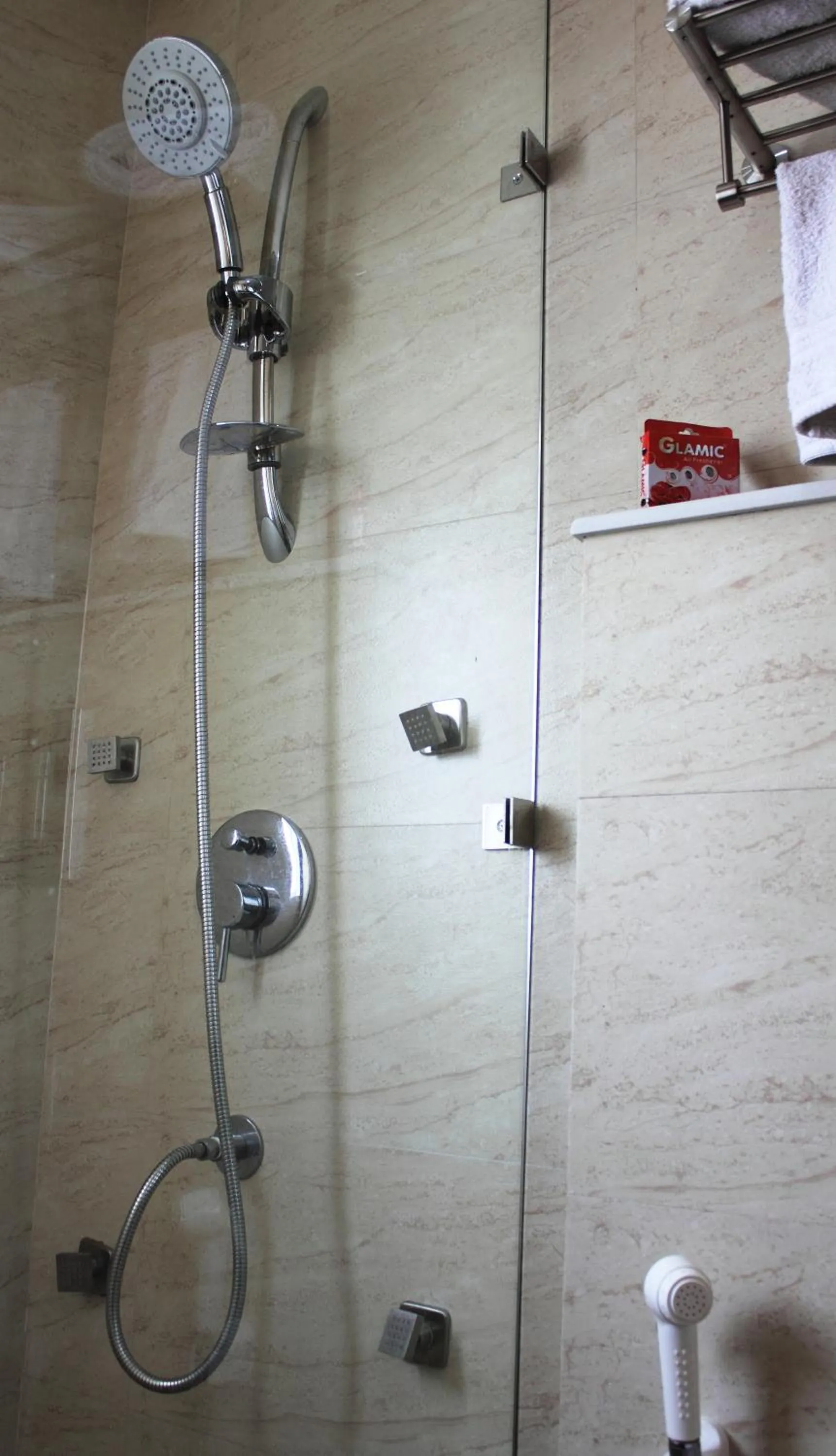 Shower in Hotel Ivory 32